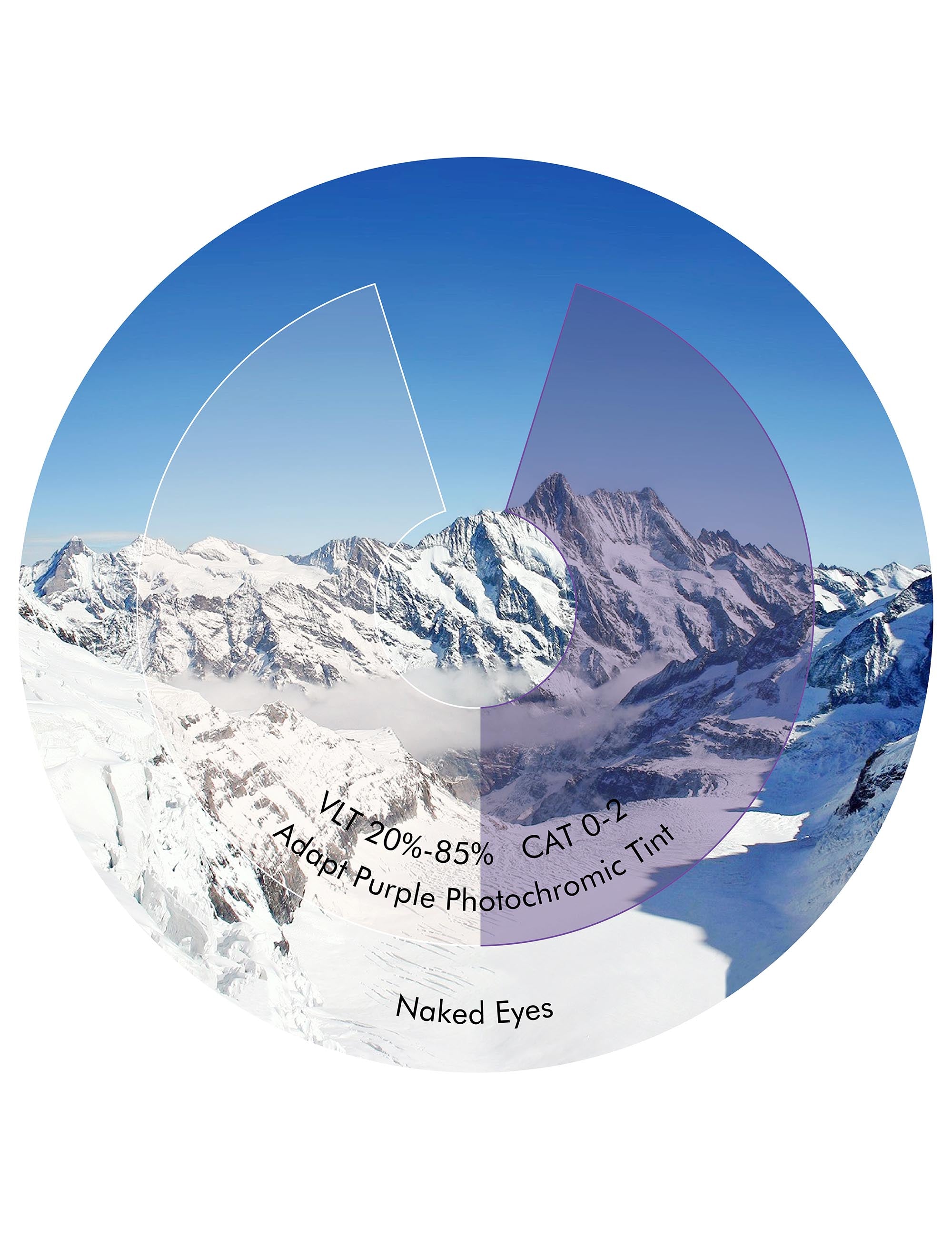 Adapt Purple Photochromic-Non-Polarized