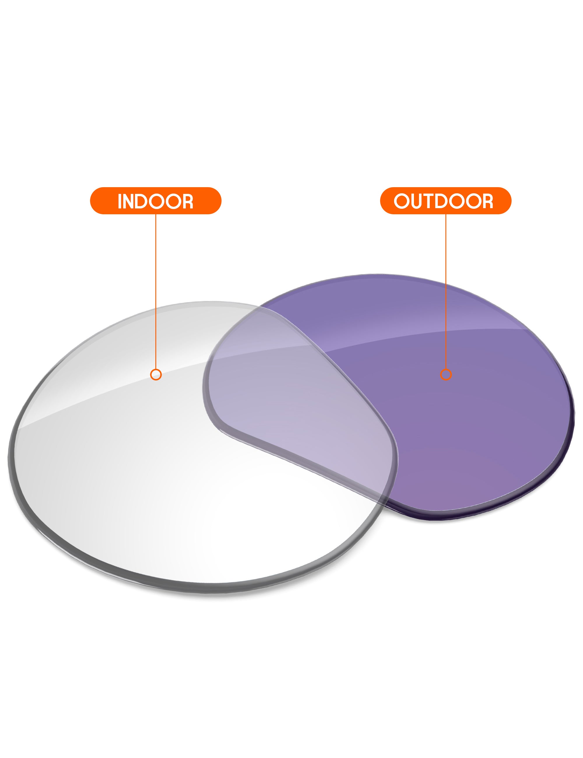 Adapt Purple Photochromic Blue Light Blocking-Non-Polarized