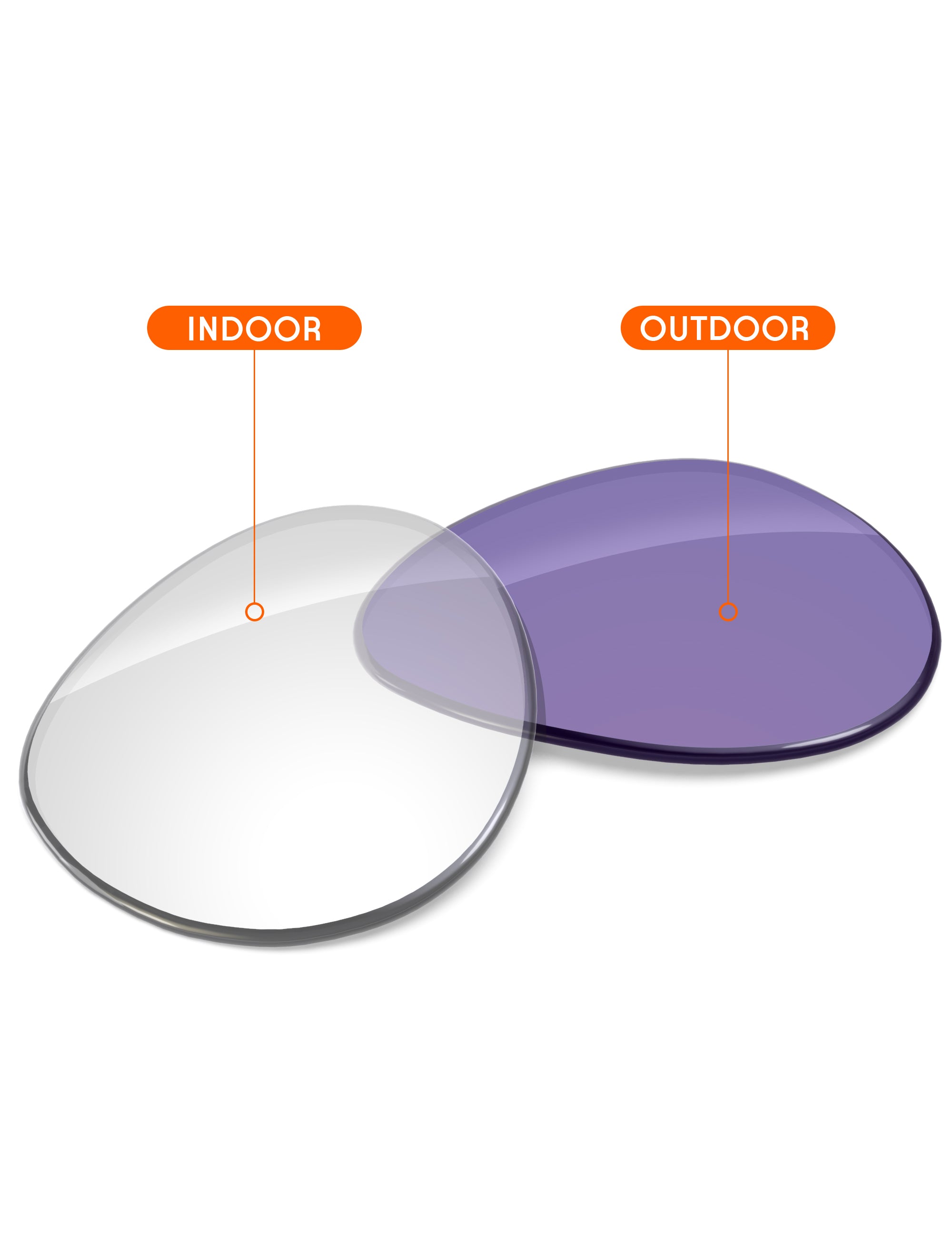 Adapt Purple Photochromic Blue Light Blocking-Non-Polarized