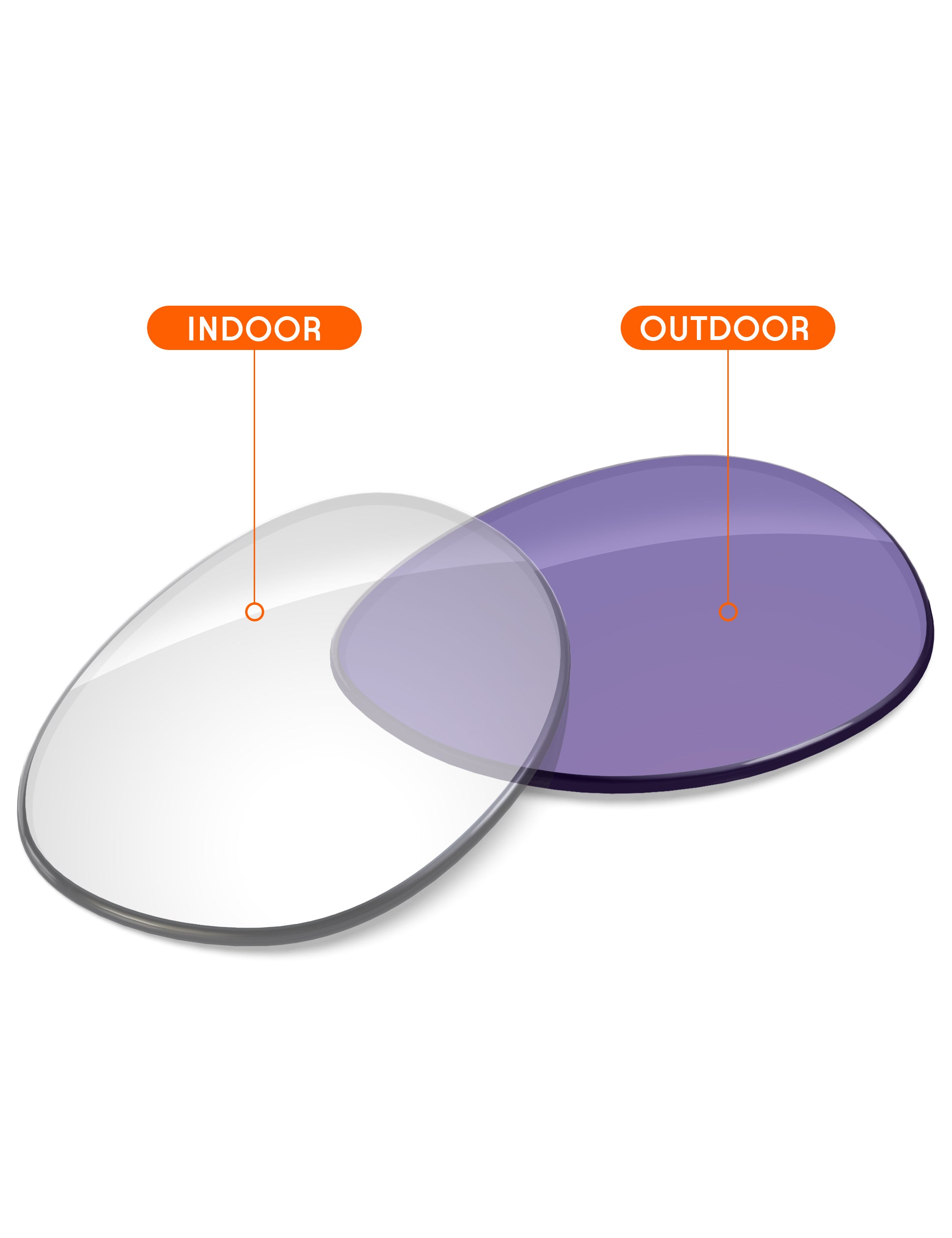 Adapt Purple Photochromic Blue Light Blocking-Non-Polarized