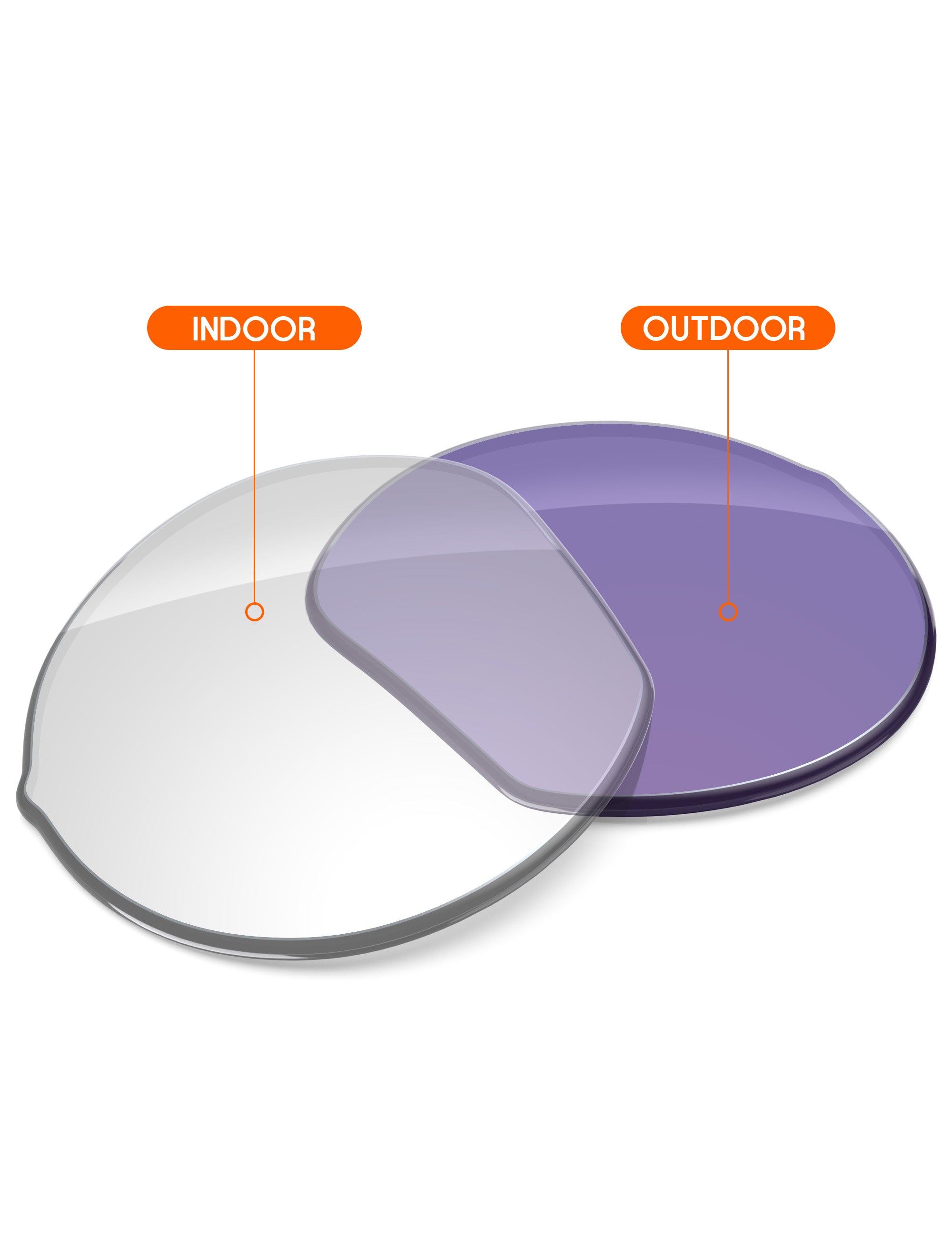 Adapt Purple Photochromic Blue Light Blocking-Non-Polarized
