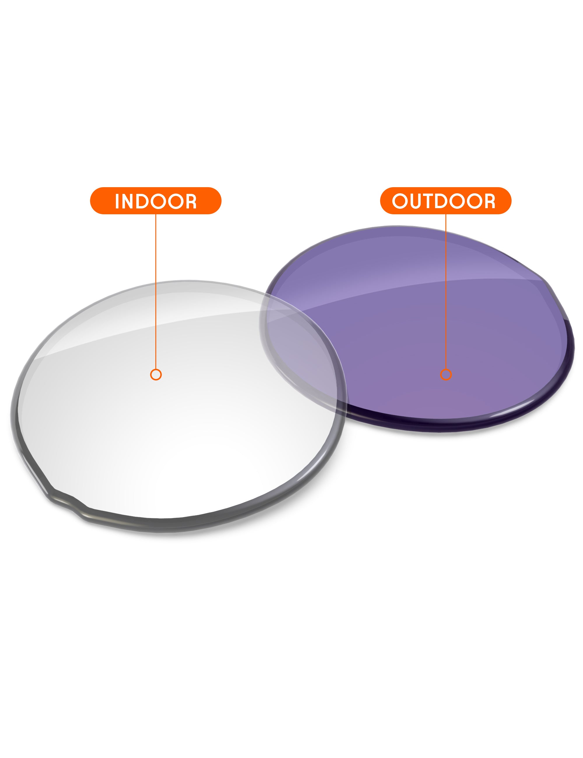 Adapt Purple Photochromic Blue Light Blocking-Non-Polarized