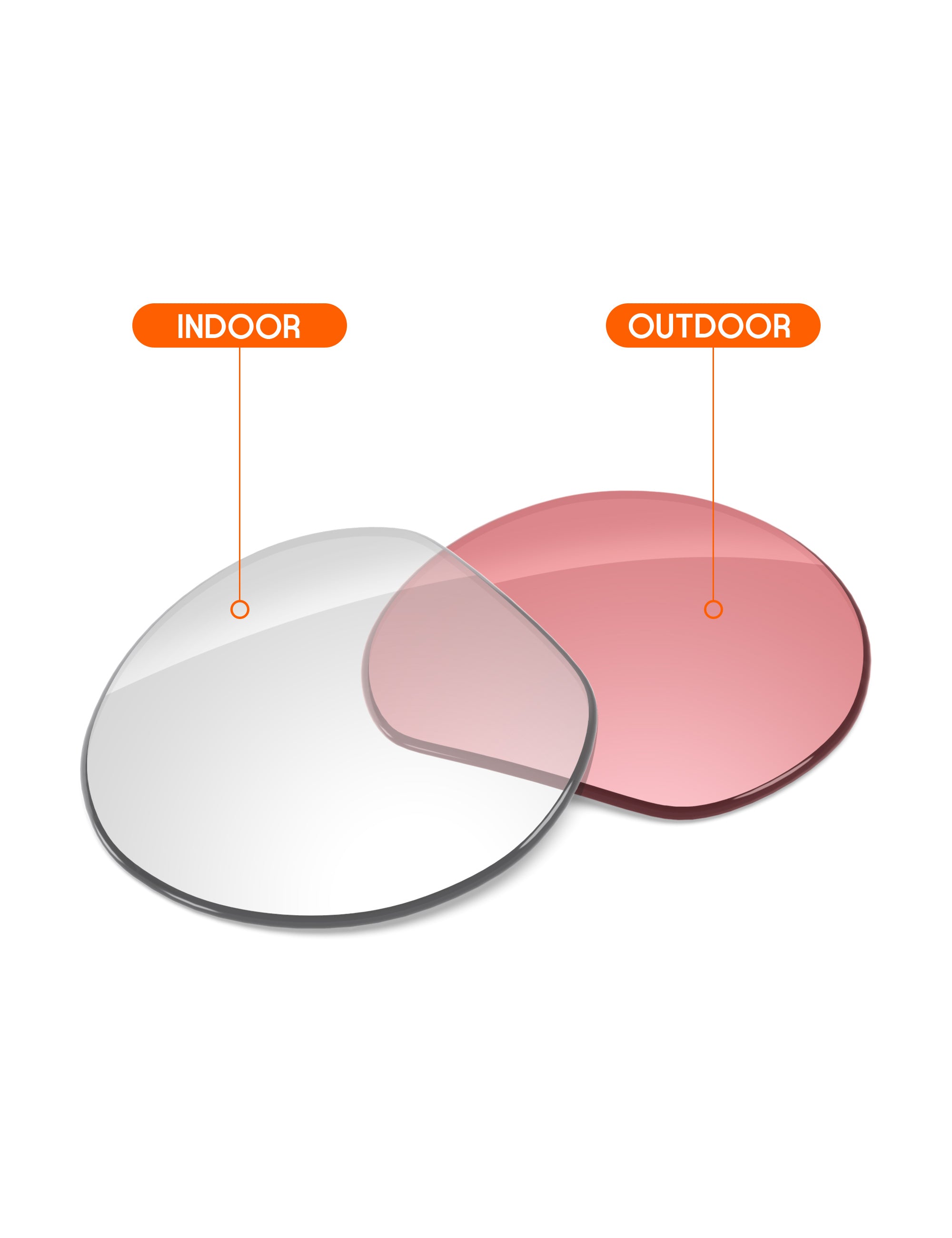 Adapt Pink Photochromic Blue Light Blocking-Non-Polarized