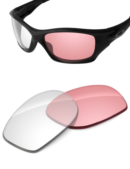 Adapt Pink Photochromic Blue Light Blocking-Non-Polarized