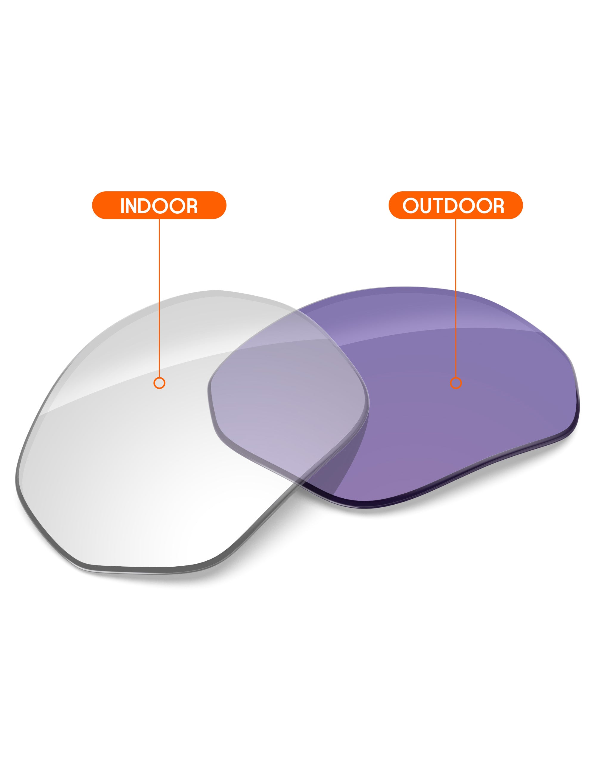 Adapt Purple Photochromic Blue Light Blocking-Non-Polarized