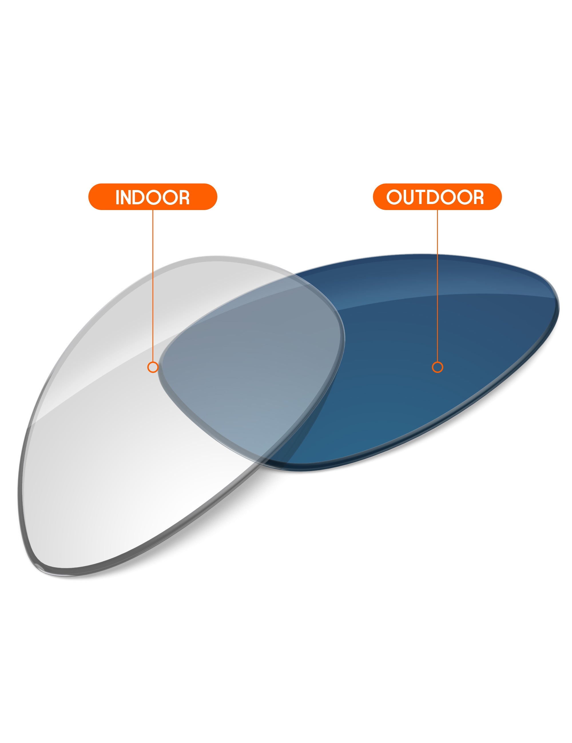 Adapt Blue Photochromic Blue Light Blocking-Non-Polarized