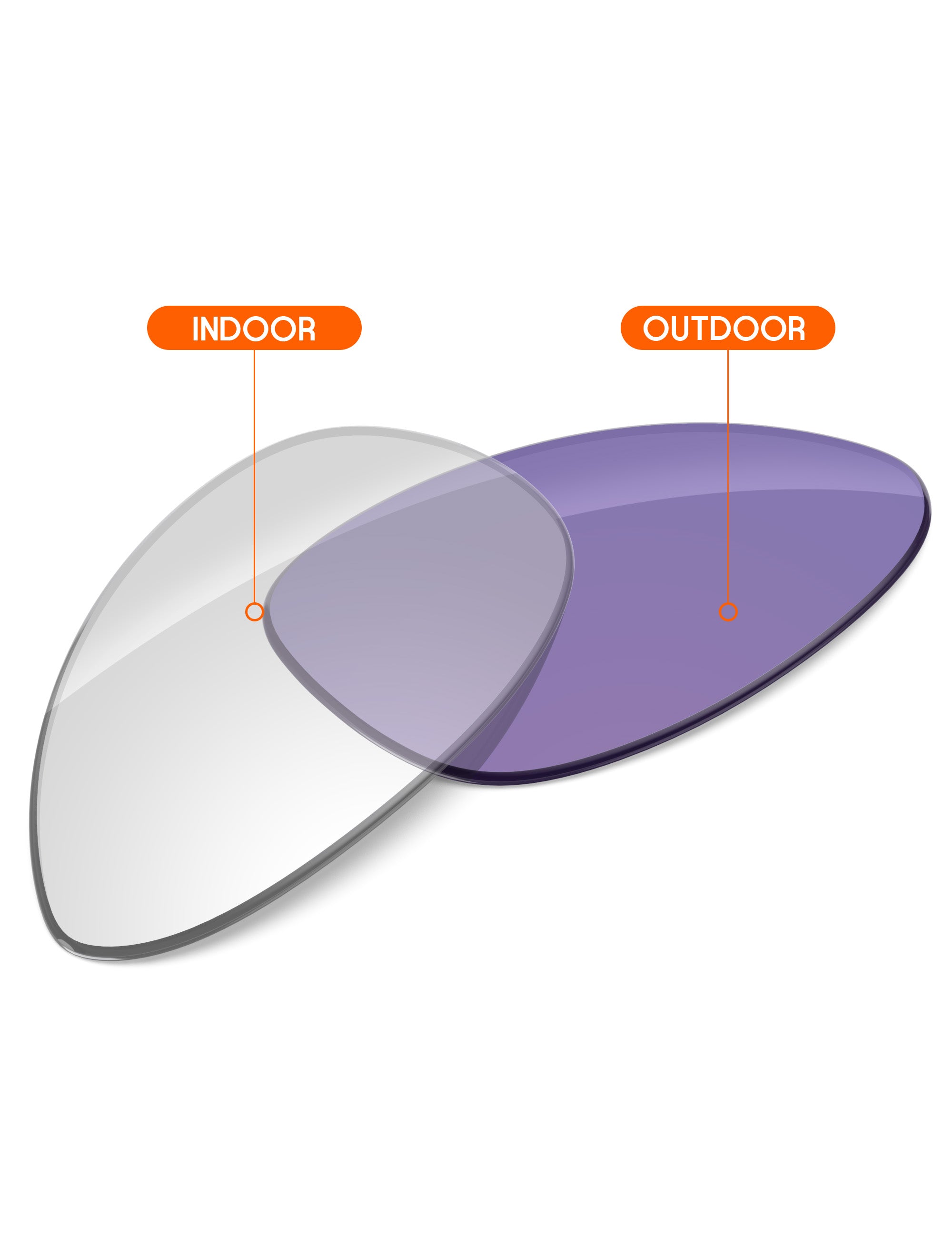 Adapt Purple Photochromic Blue Light Blocking-Non-Polarized