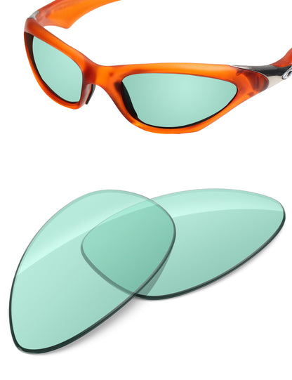 Mint-Non-Polarized
