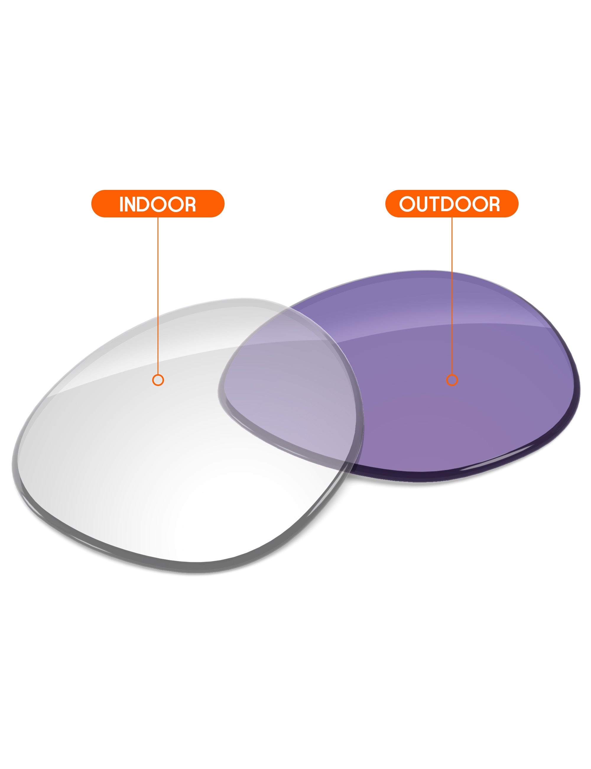 Adapt Purple Photochromic Blue Light Blocking-Non-Polarized
