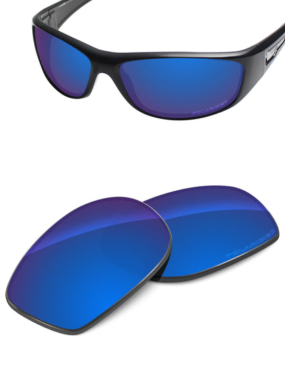 Sapphire Blue FlashMirror™-Polarized