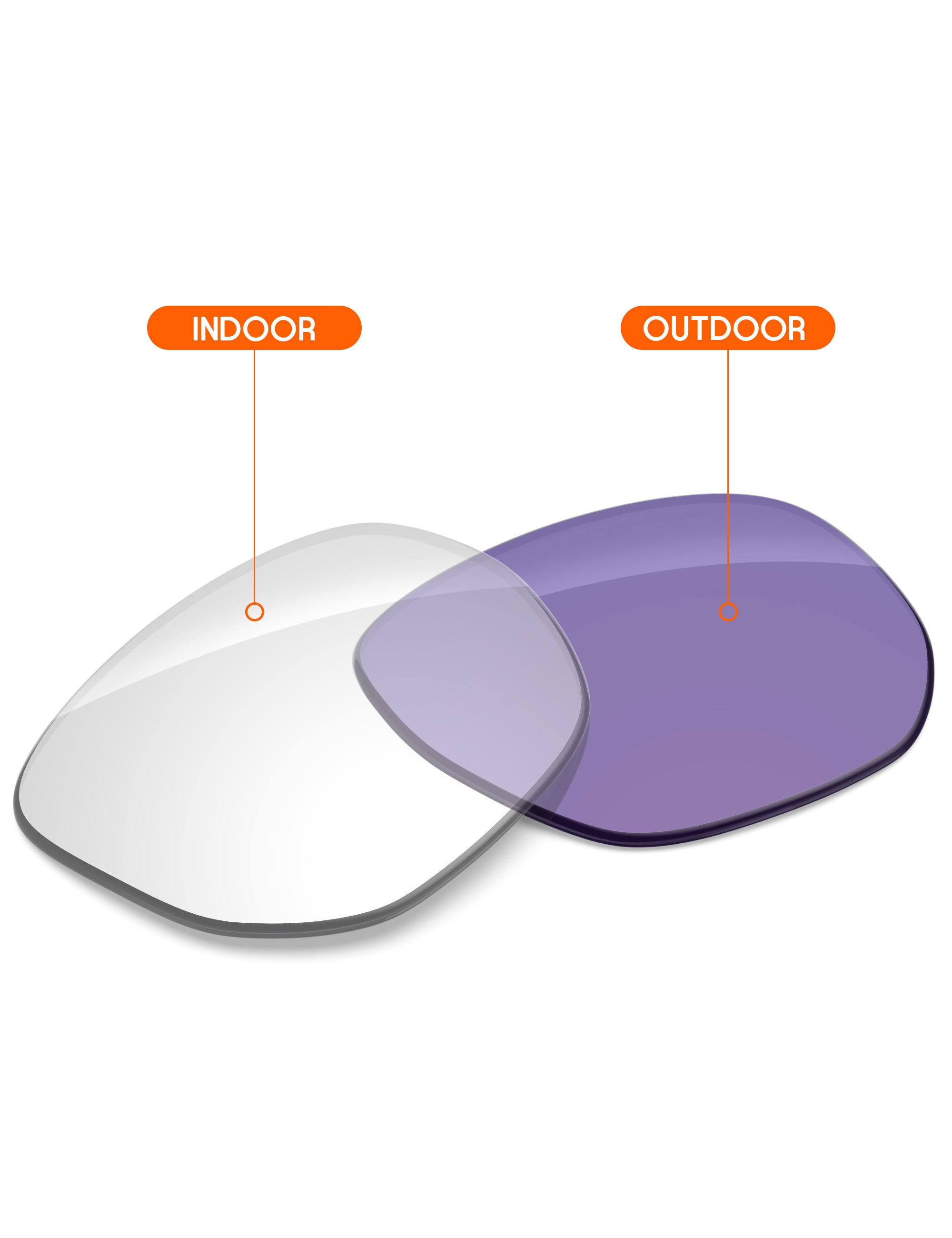 Adapt Purple Photochromic-Non-Polarized