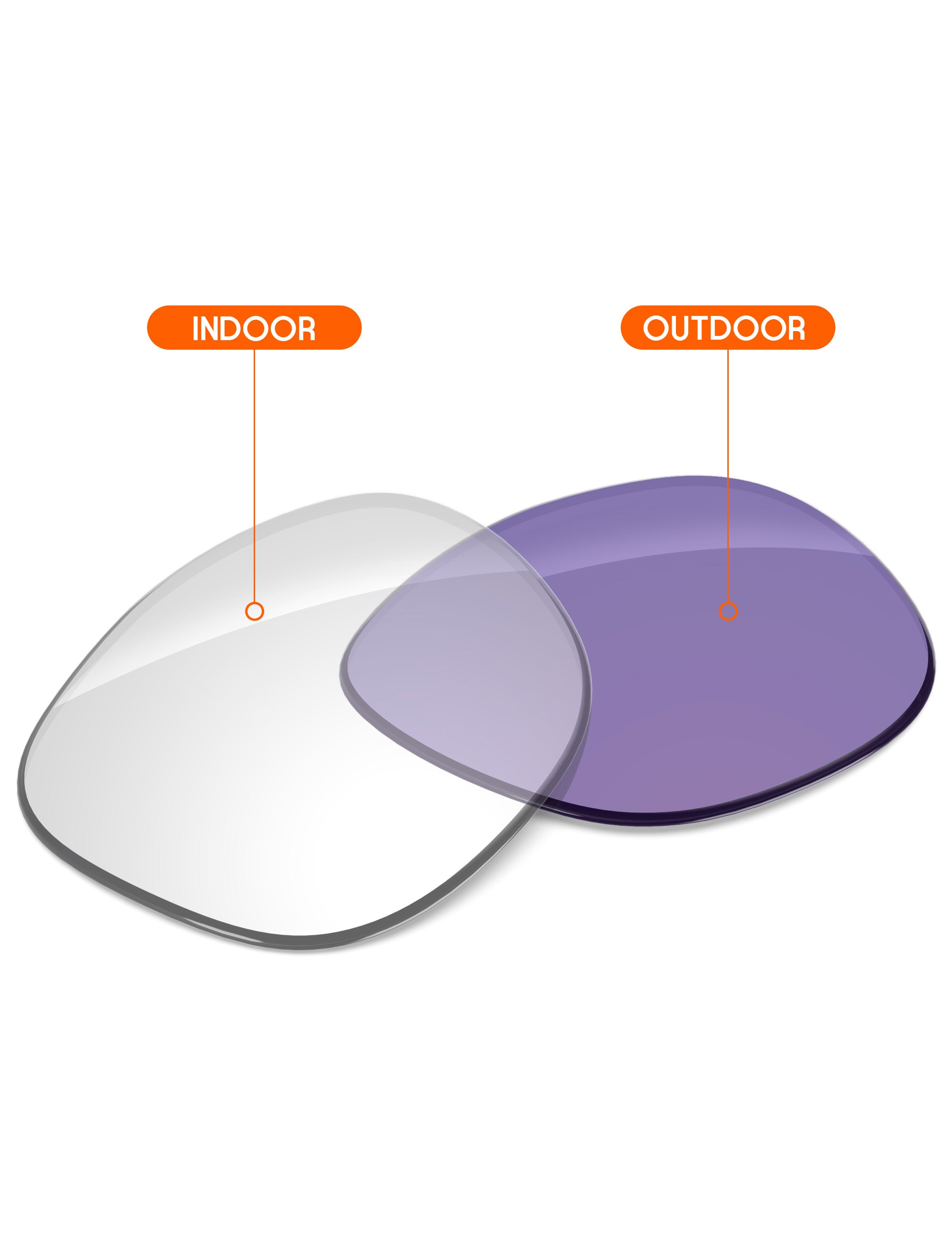 Adapt Purple Photochromic-Non-Polarized