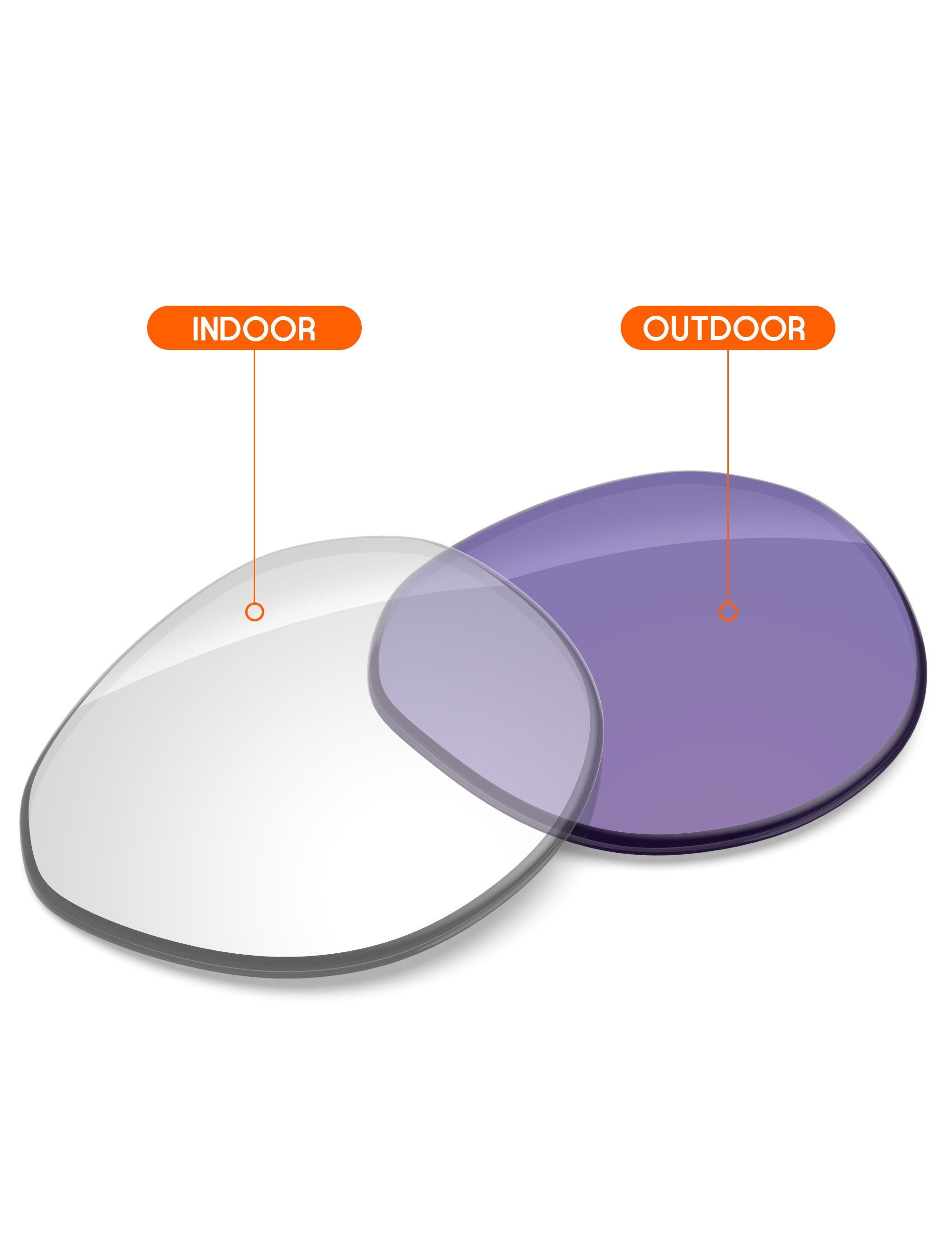 Adapt Purple Photochromic-Non-Polarized