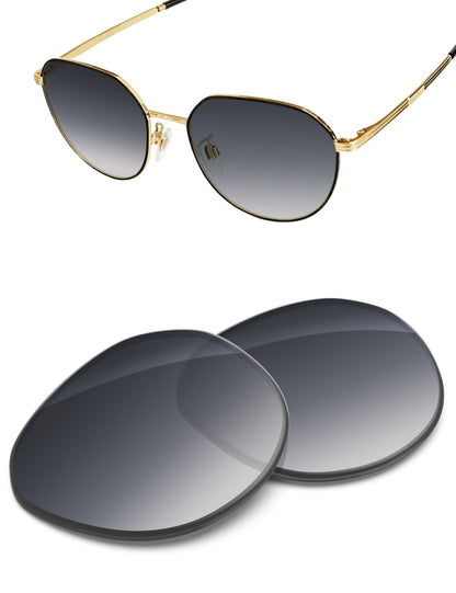 Gray Gradient-Non-Polarized