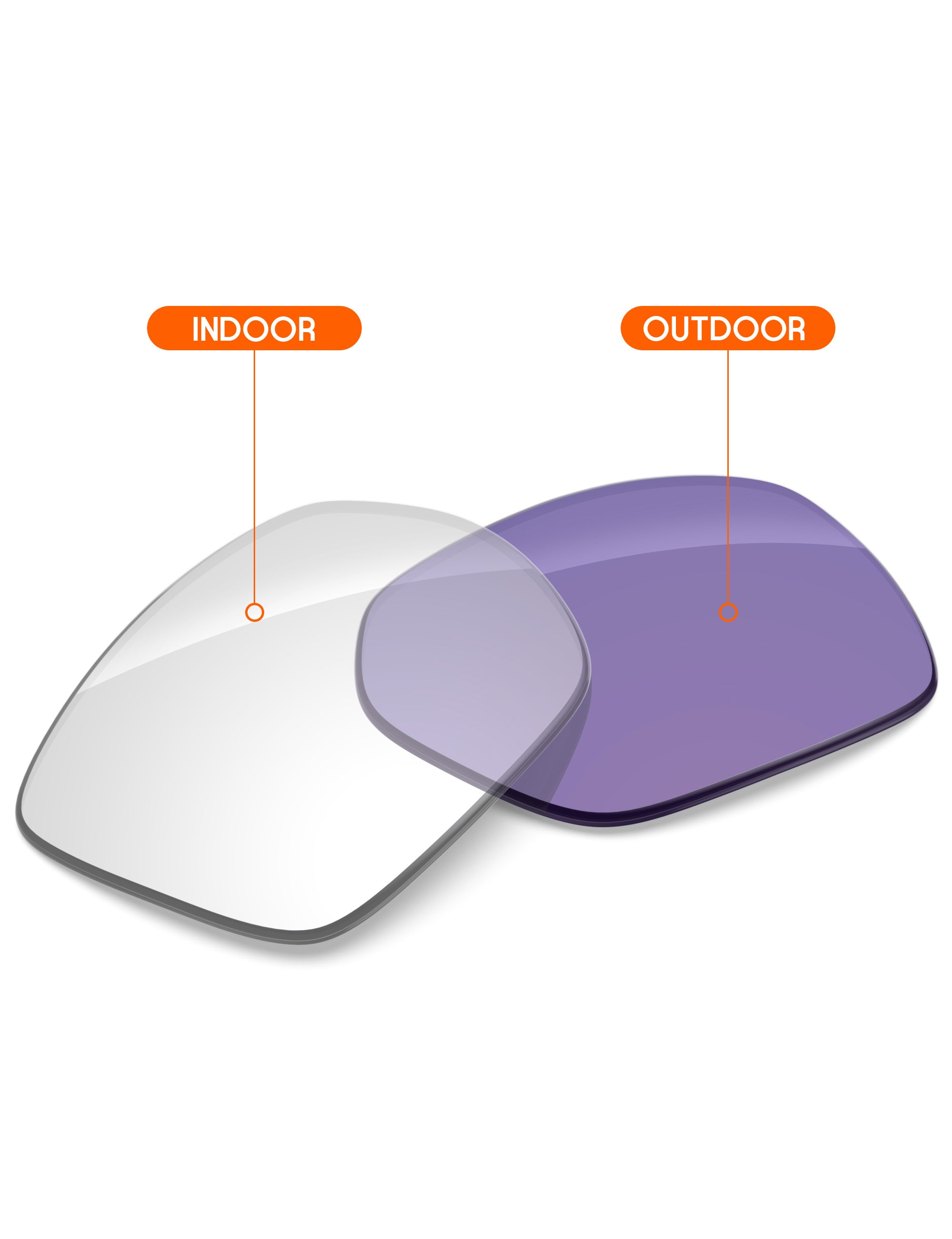 Adapt Purple Photochromic-Non-Polarized