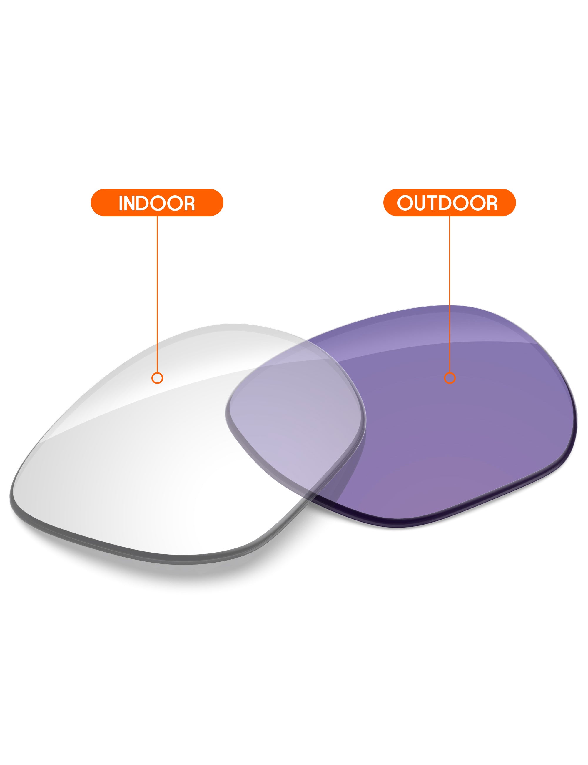 Adapt Purple Photochromic-Non-Polarized