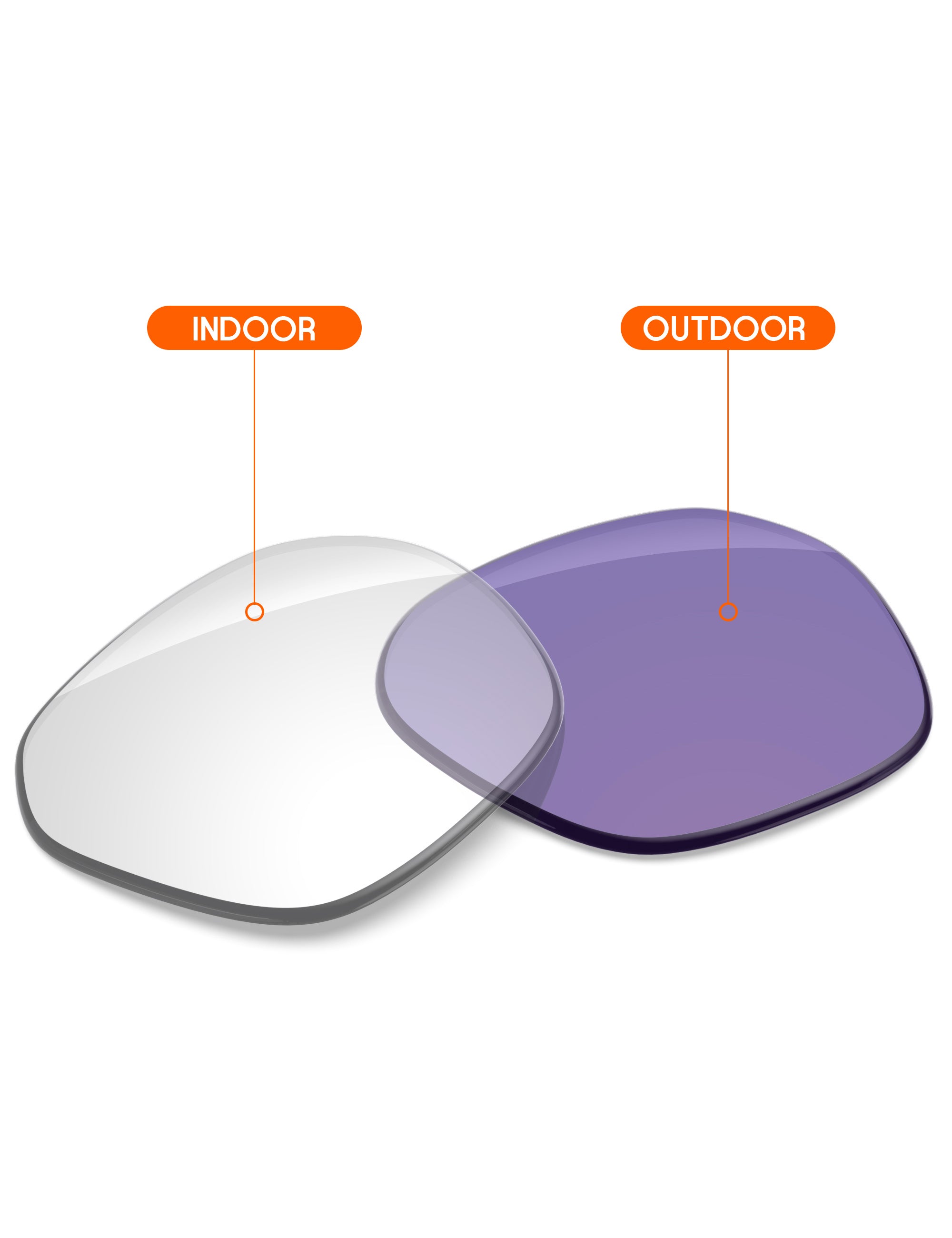 Adapt Purple Photochromic-Non-Polarized
