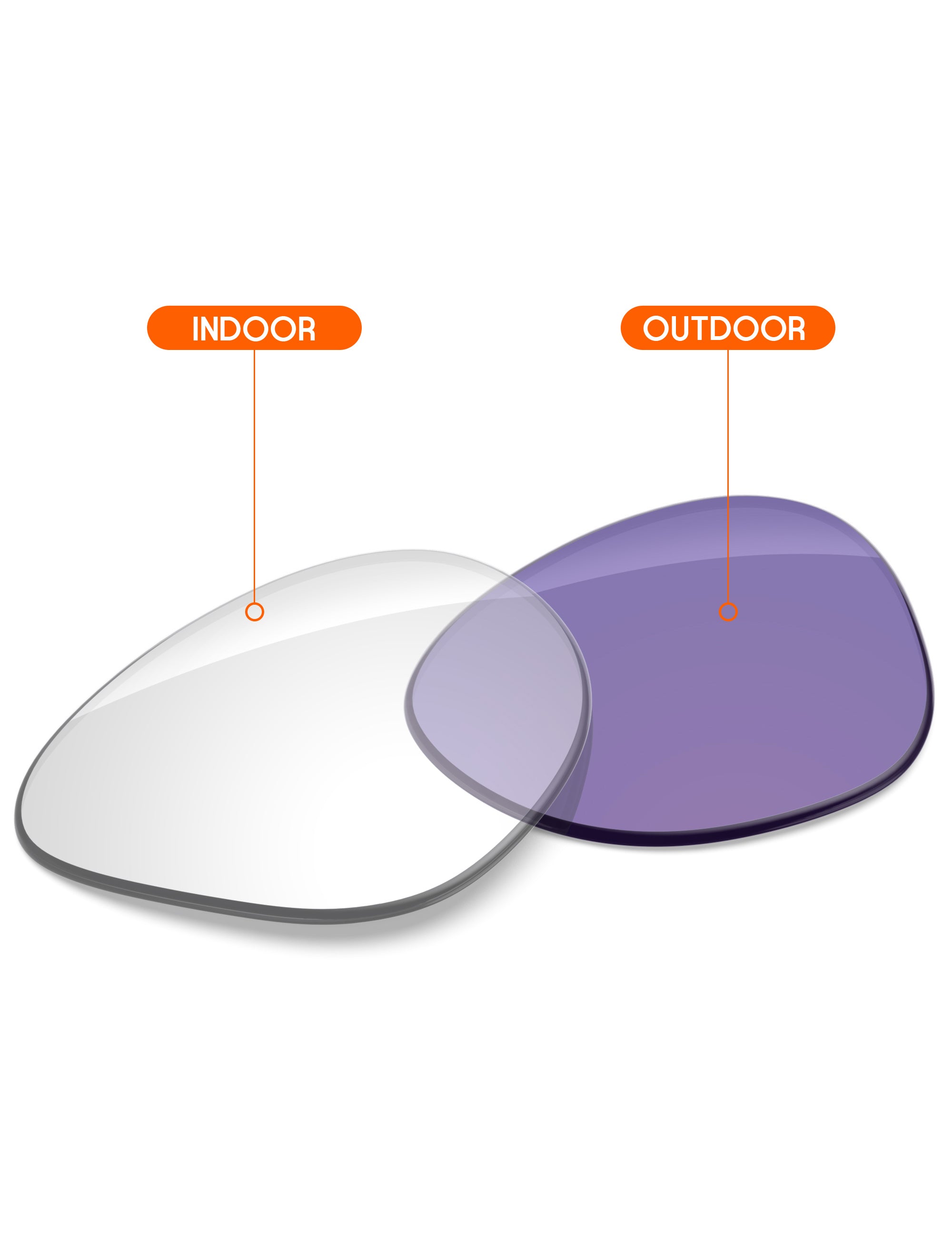 Adapt Purple Photochromic-Non-Polarized