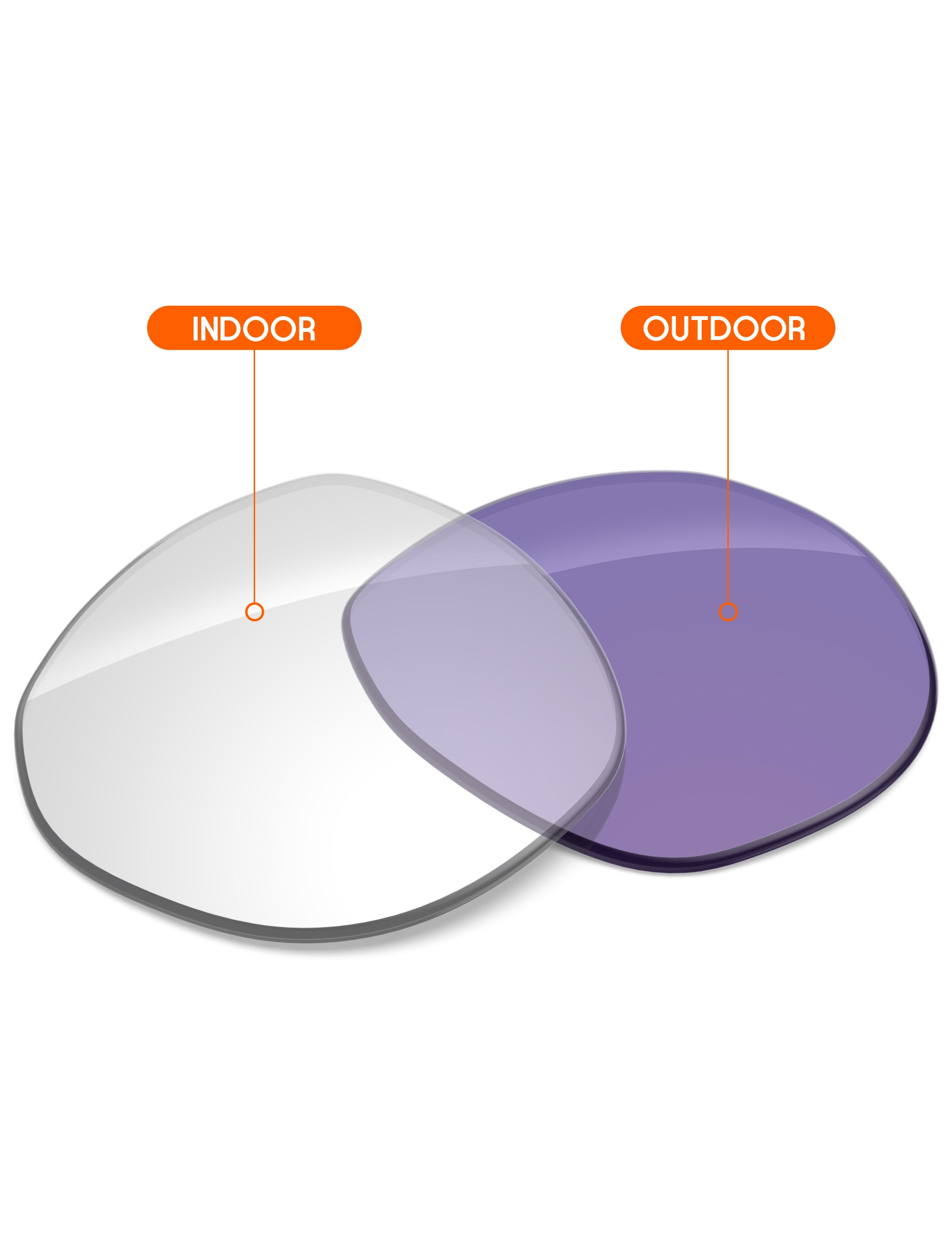 Adapt Purple Photochromic-Non-Polarized