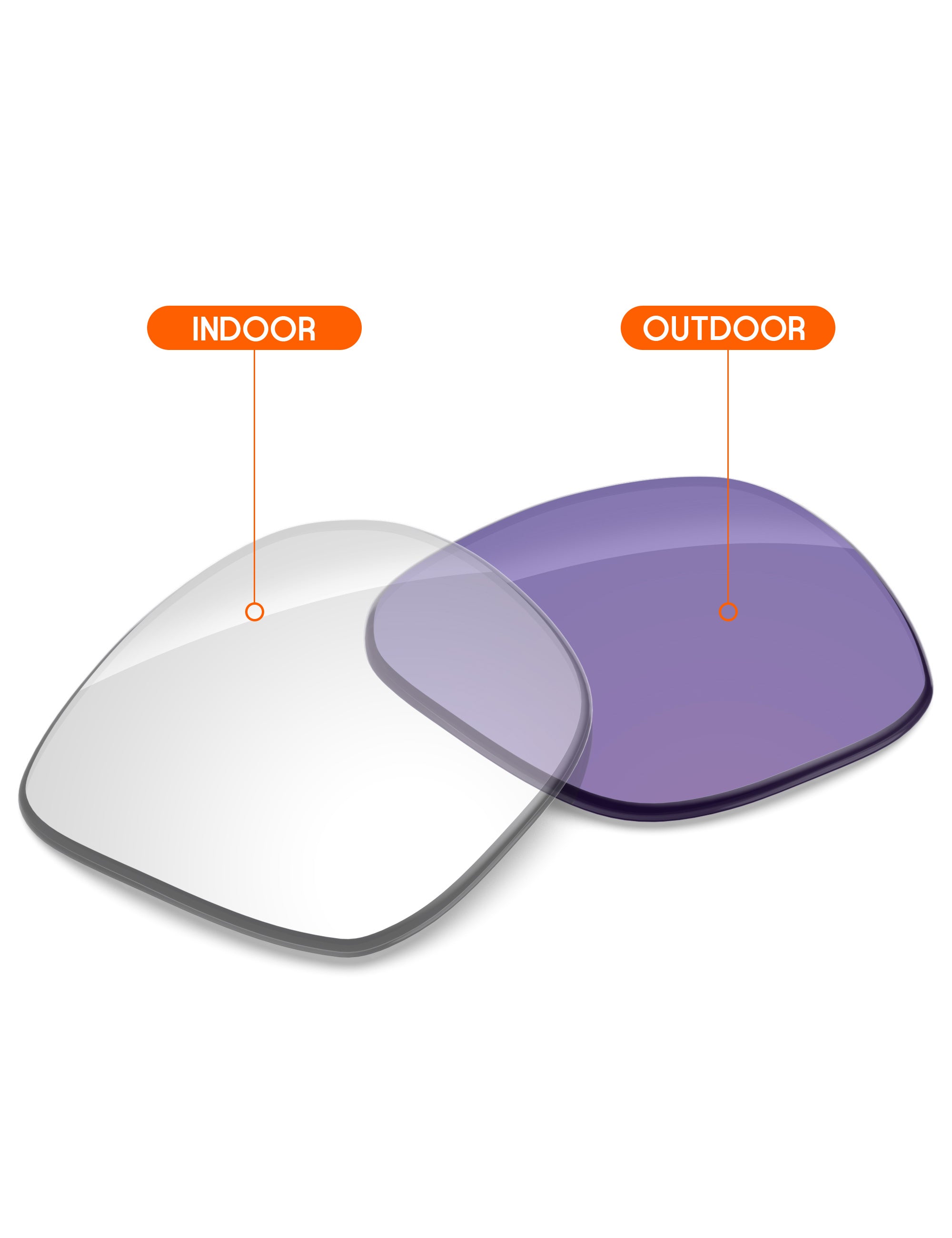 Adapt Purple Photochromic-Non-Polarized