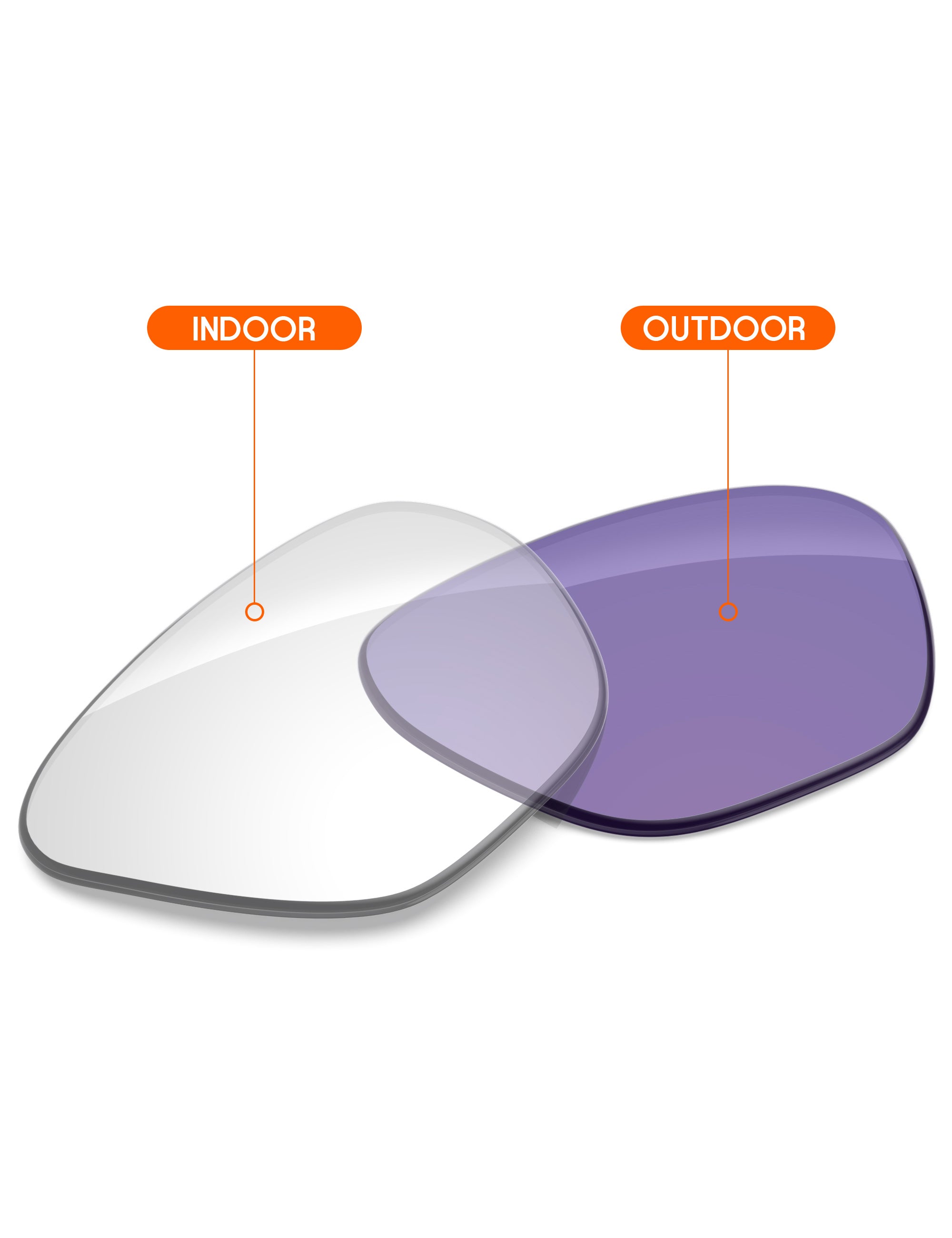 Adapt Purple Photochromic-Non-Polarized