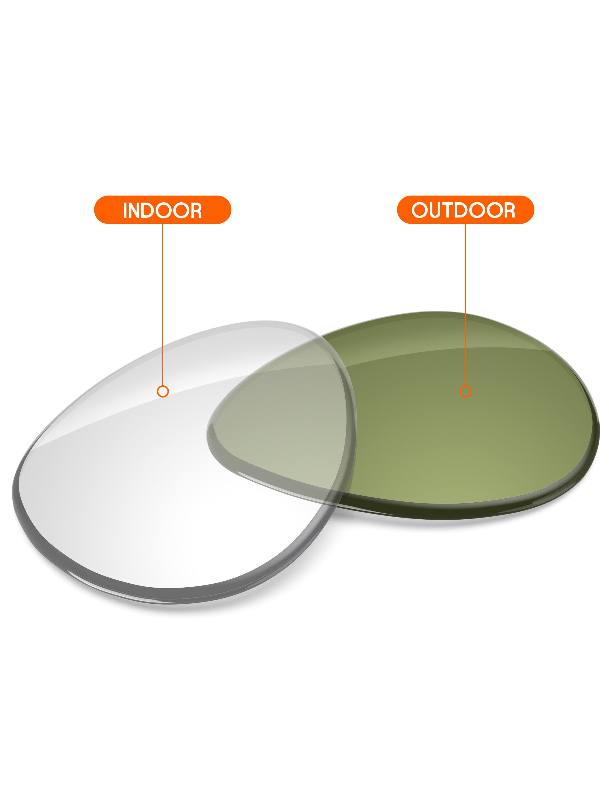 Adapt Green Photochromic-Non-Polarized