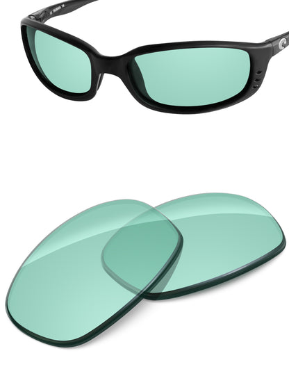 Mint-Non-Polarized