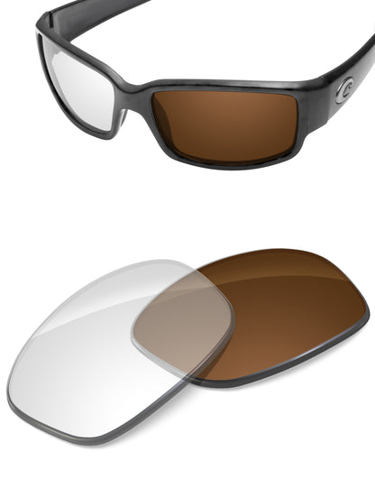 Adapt Brown Photochromic-Non-Polarized