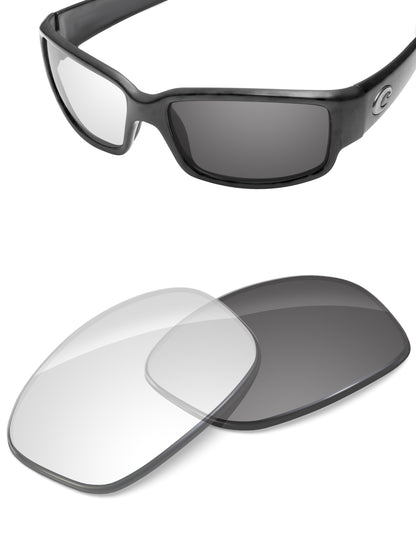 Adapt Gray Photochromic-Non-Polarized