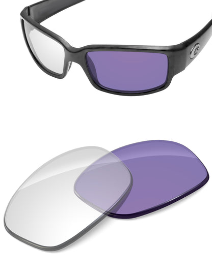 Adapt Purple Photochromic-Non-Polarized