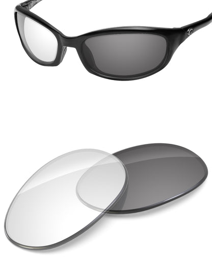 Adapt Gray Photochromic-Non-Polarized