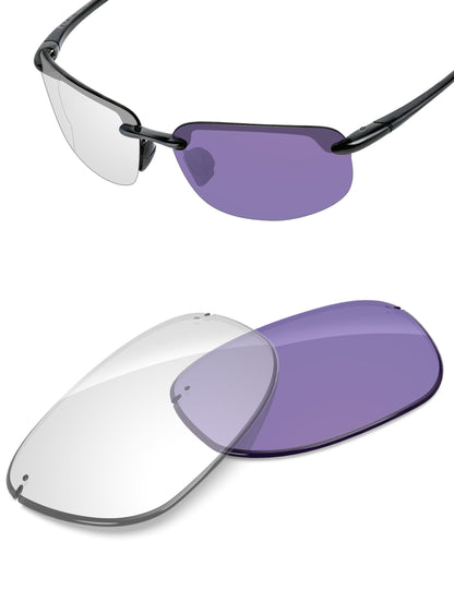 Adapt Purple Photochromic-Non-Polarized