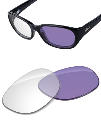 Adapt Purple Photochromic-Non-Polarized