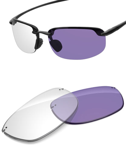 Adapt Purple Photochromic-Non-Polarized