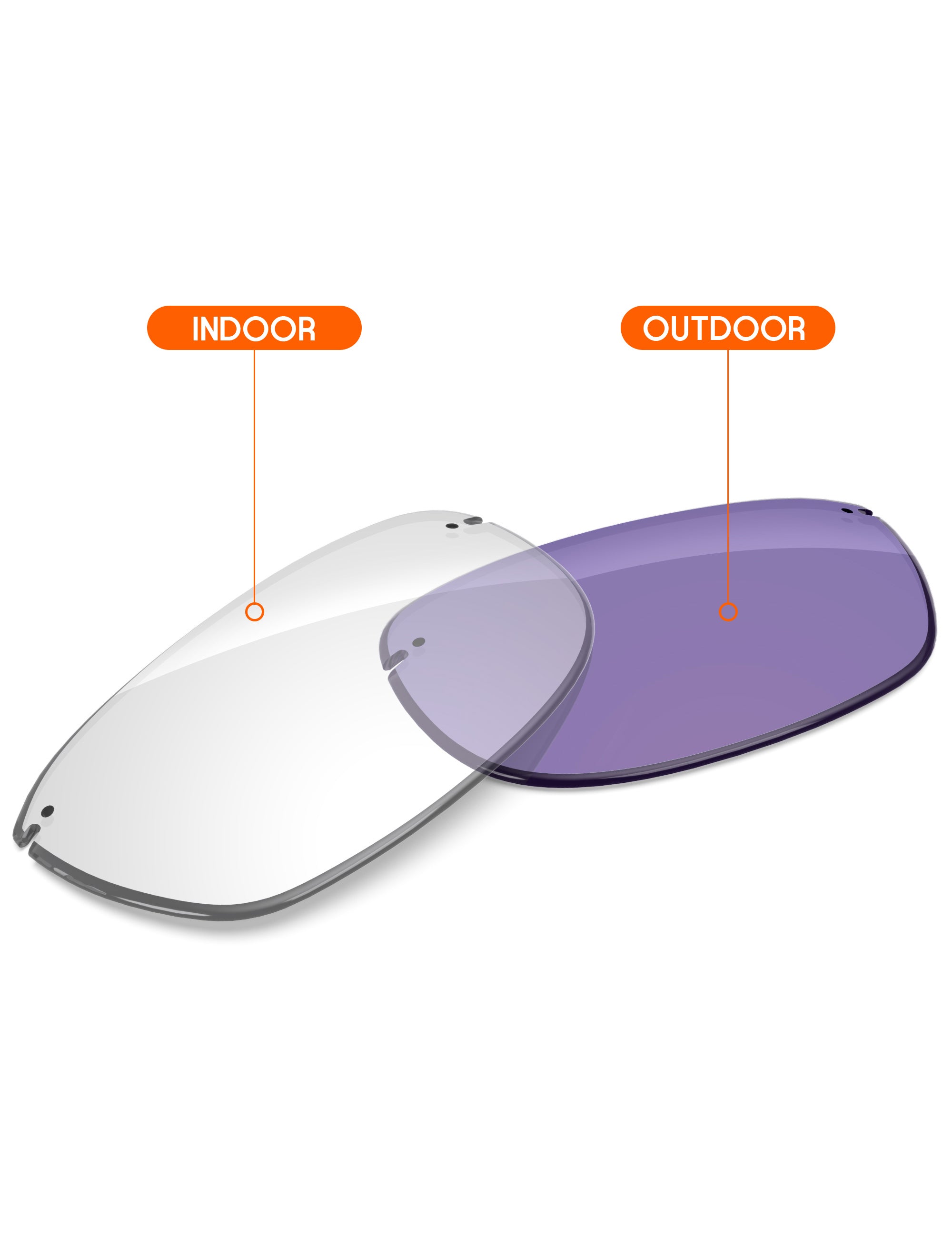 Adapt Purple Photochromic-Non-Polarized