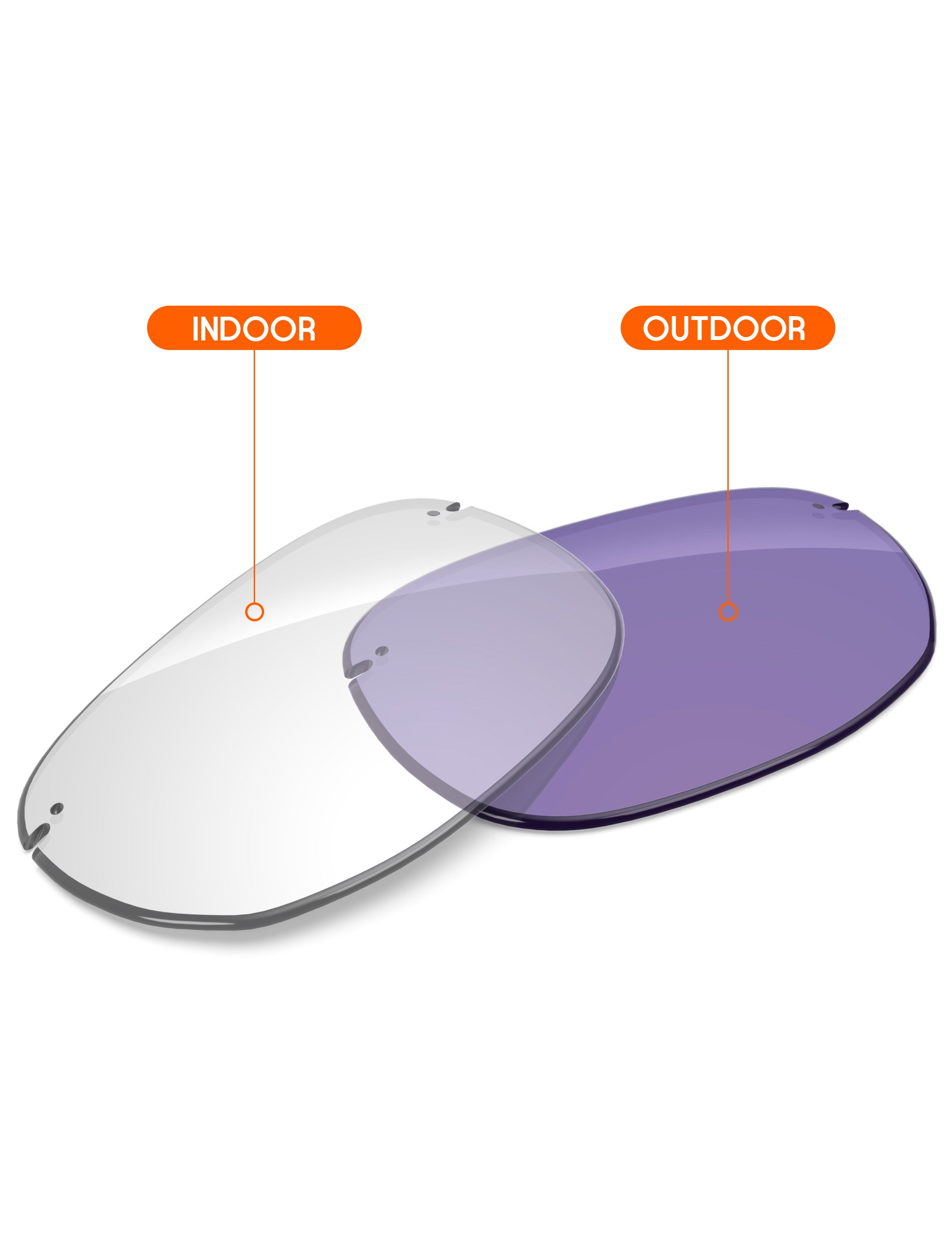 Adapt Purple Photochromic-Non-Polarized
