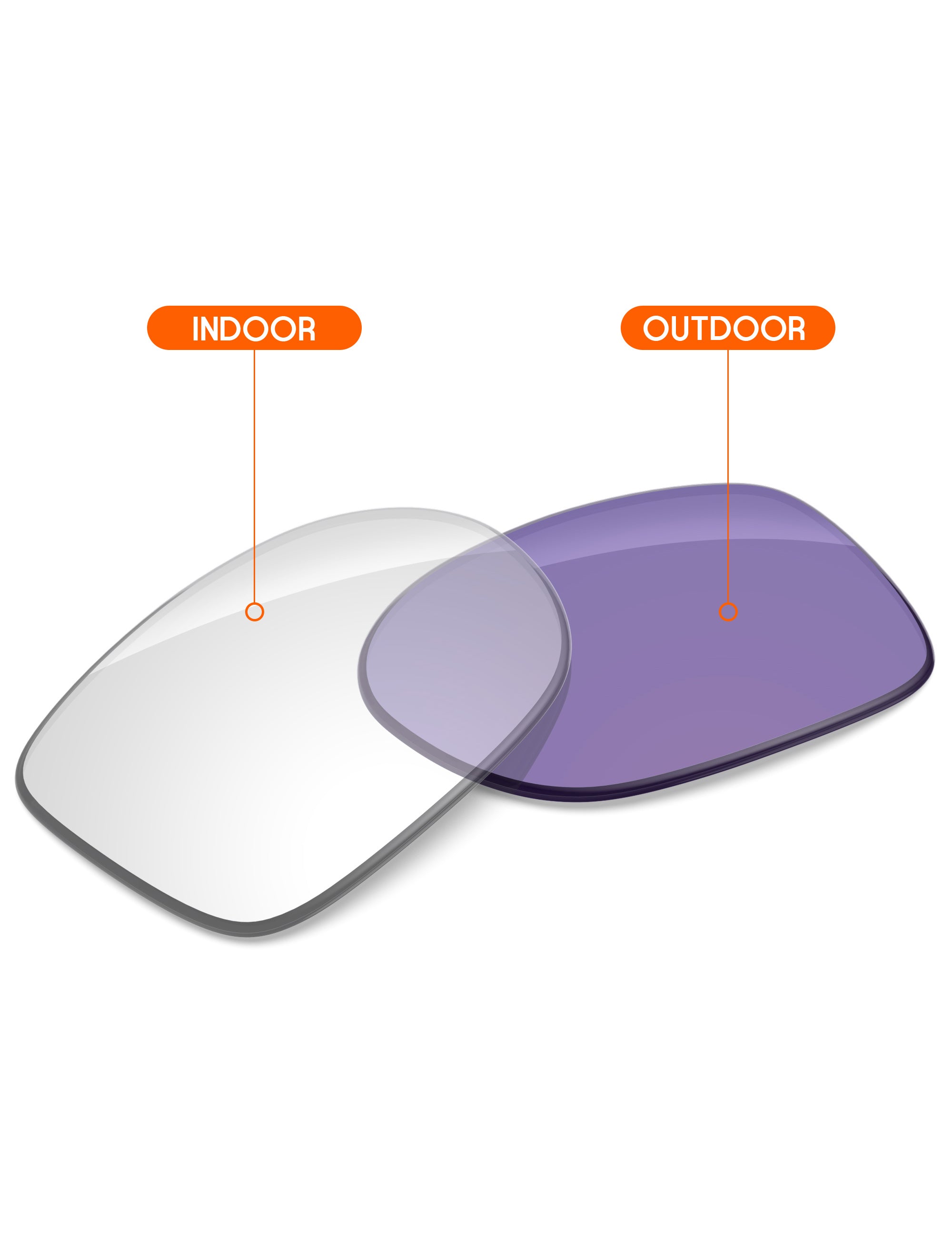 Adapt Purple Photochromic-Non-Polarized