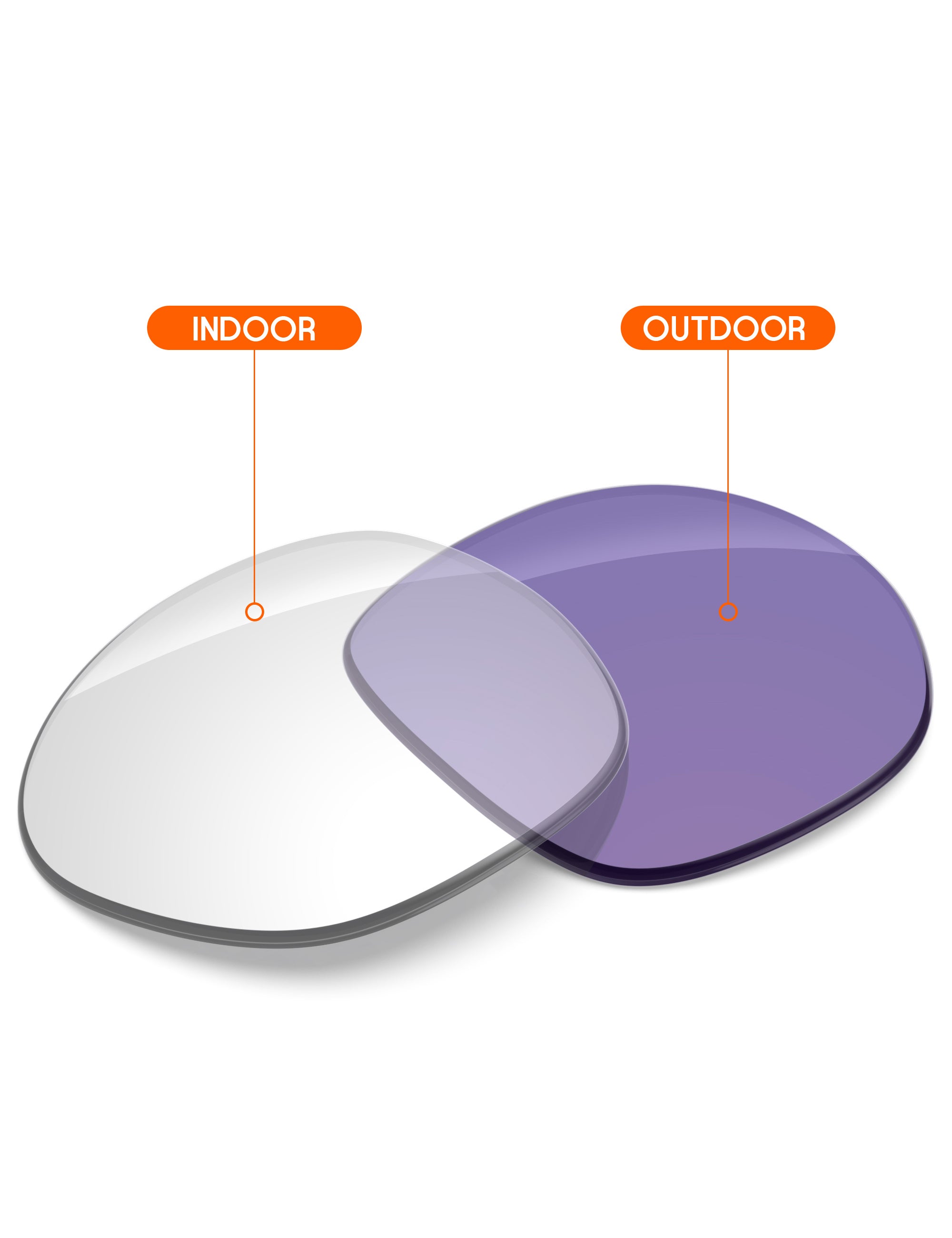 Adapt Purple Photochromic-Non-Polarized