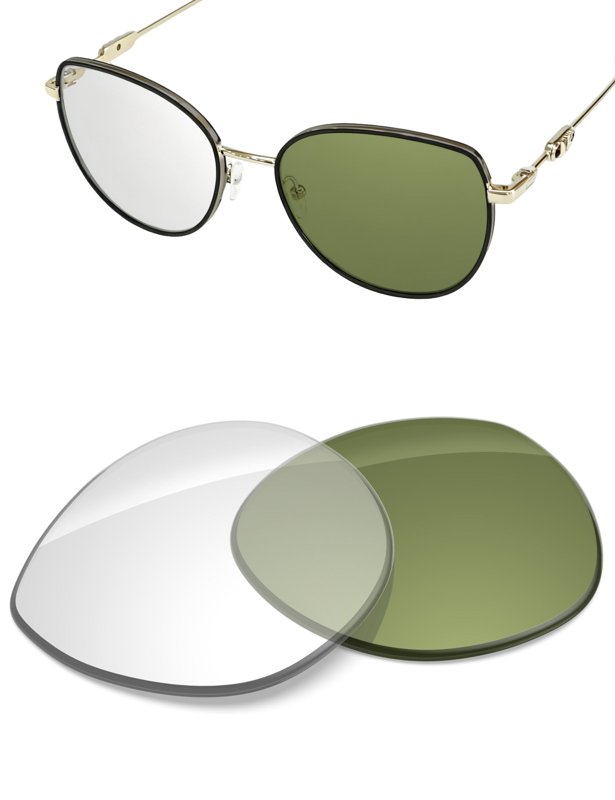 Adapt Green Photochromic-Non-Polarized
