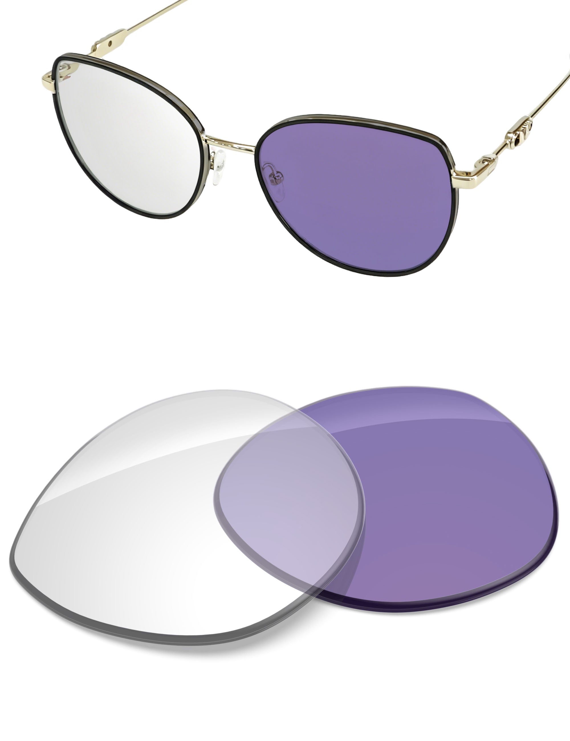 Adapt Purple Photochromic-Non-Polarized