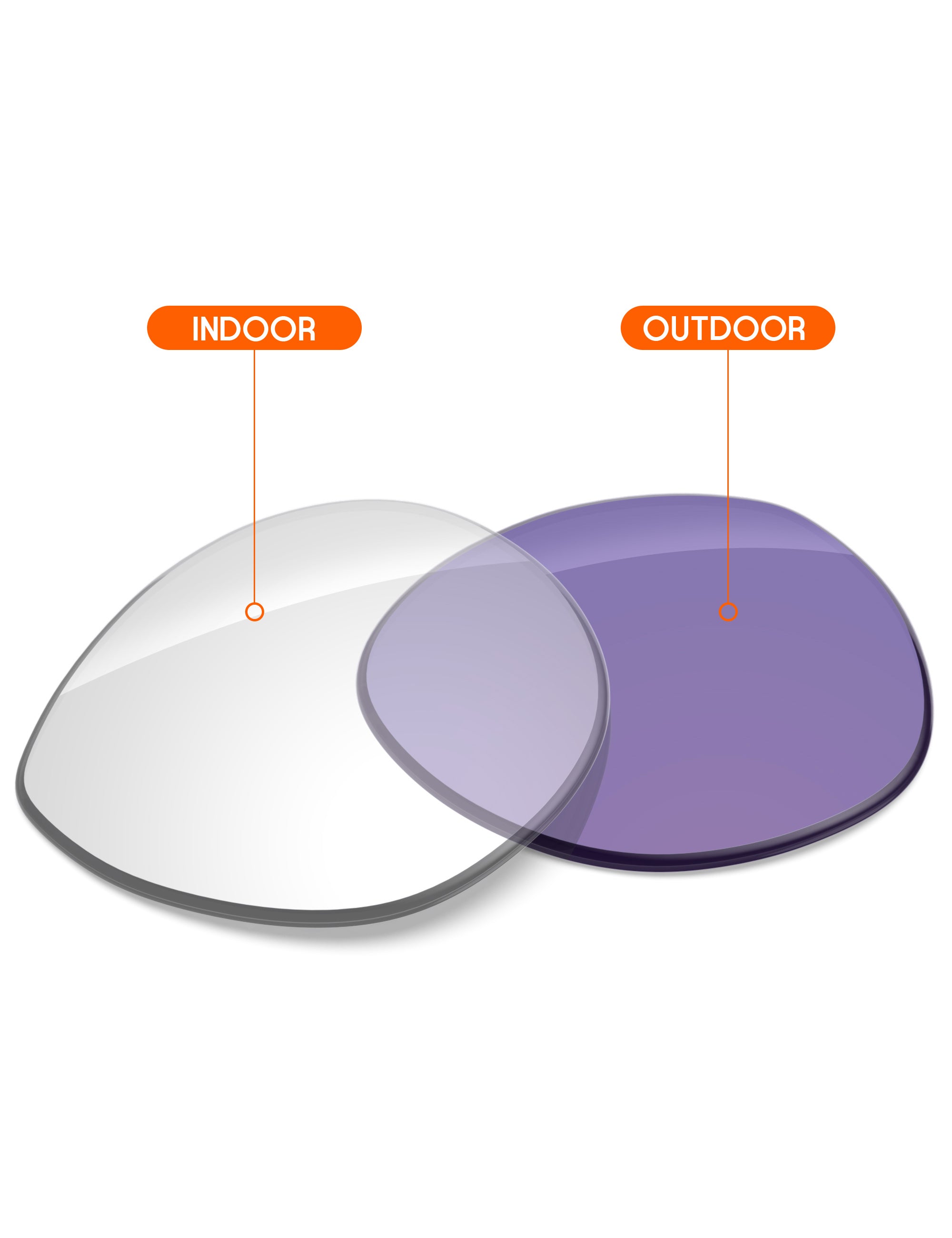 Adapt Purple Photochromic-Non-Polarized