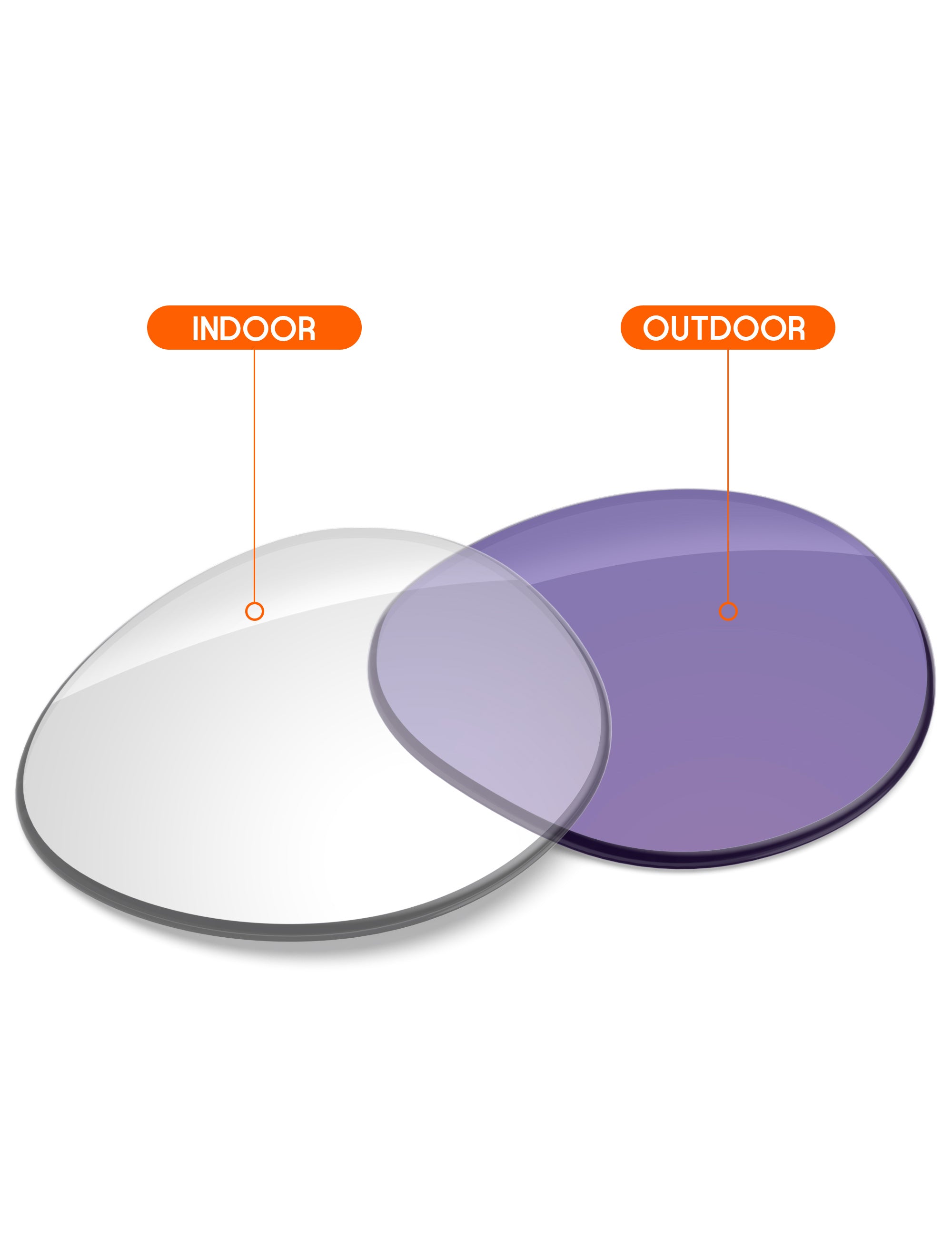 Adapt Purple Photochromic-Non-Polarized