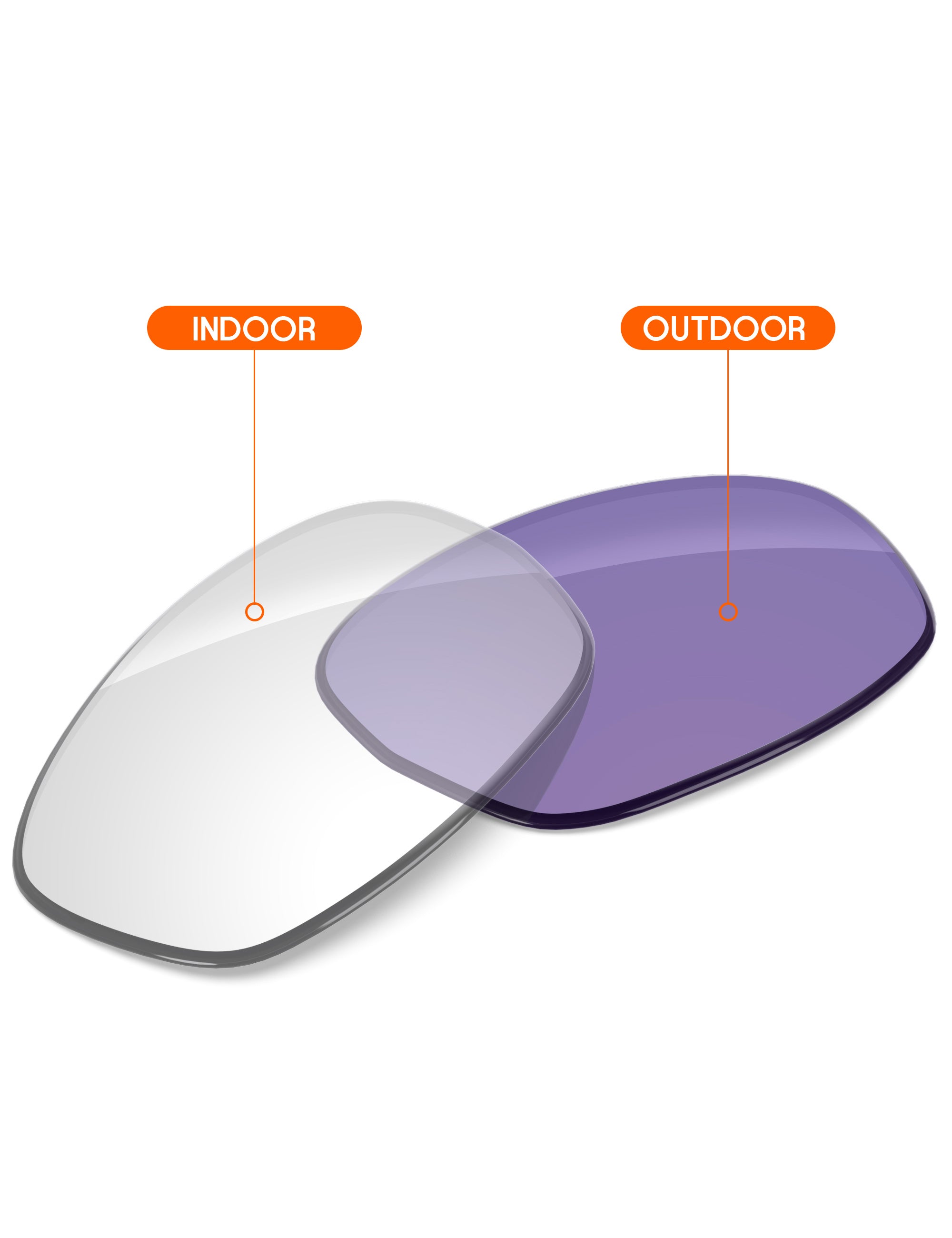Adapt Purple Photochromic-Non-Polarized