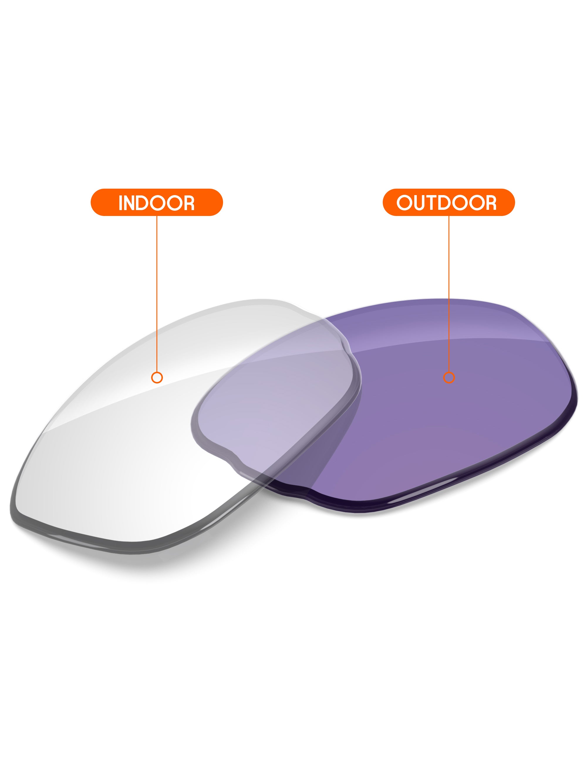 Adapt Purple Photochromic-Non-Polarized