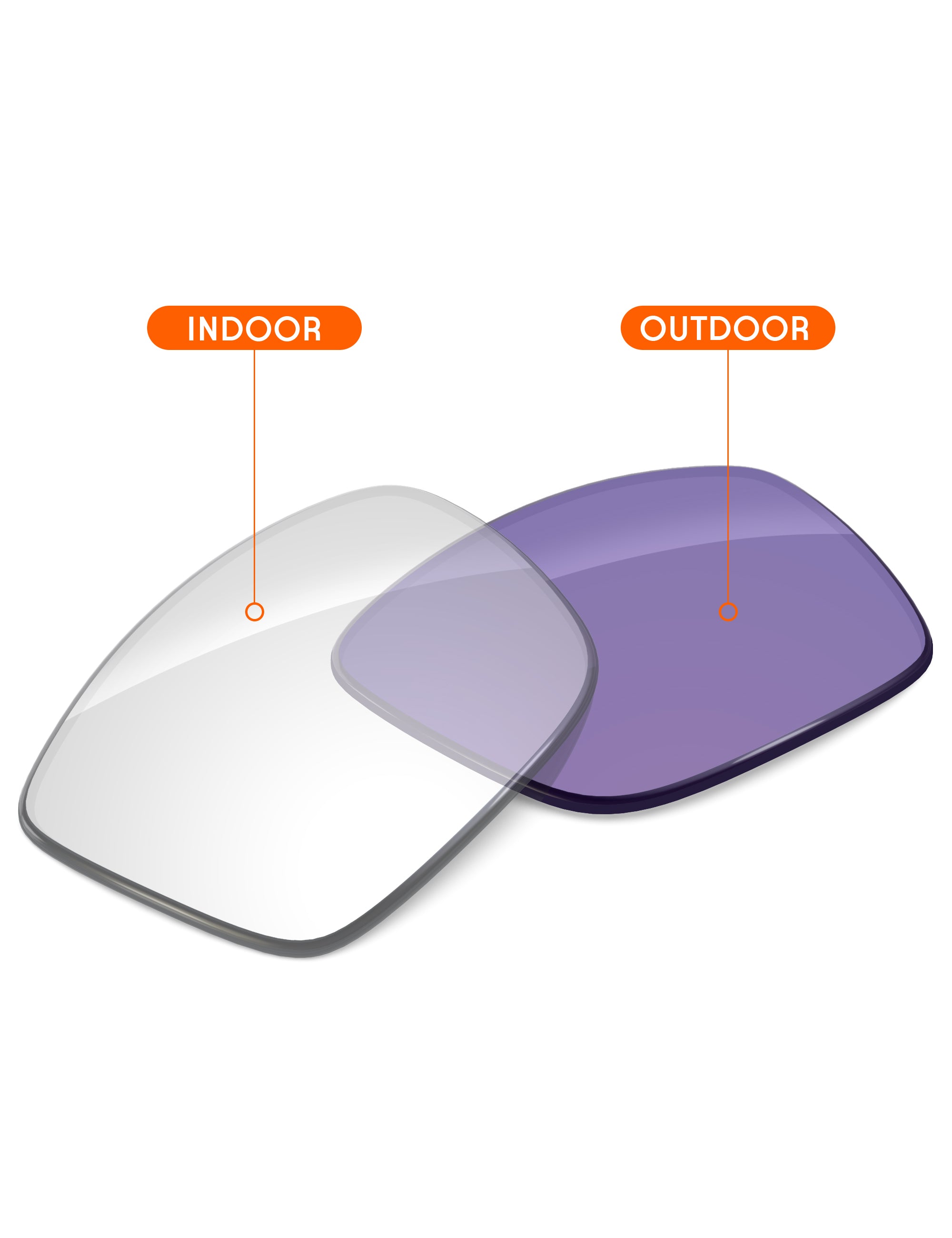 Adapt Purple Photochromic-Non-Polarized