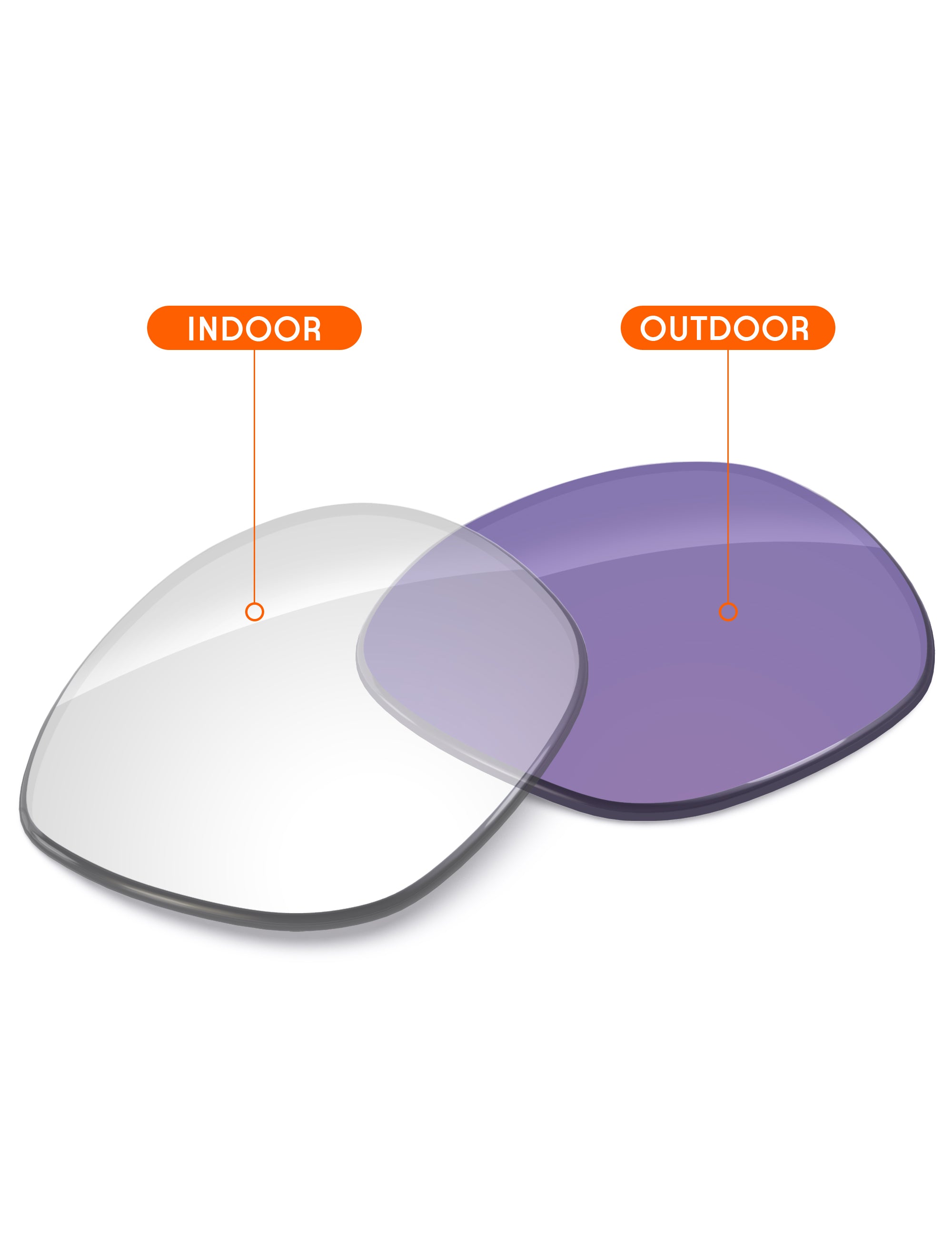 Adapt Purple Photochromic-Non-Polarized