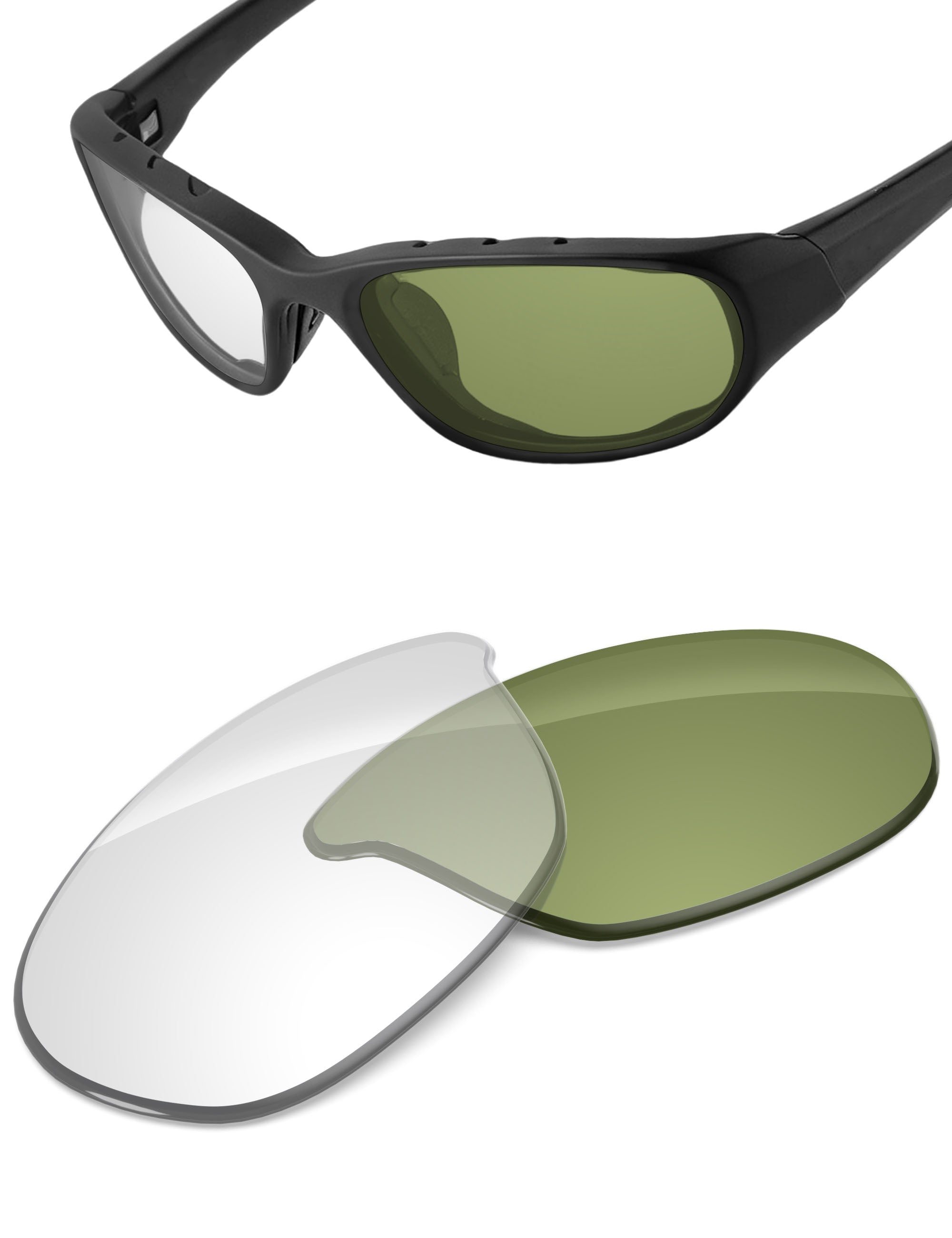 Adapt Green Photochromic-Non-Polarized