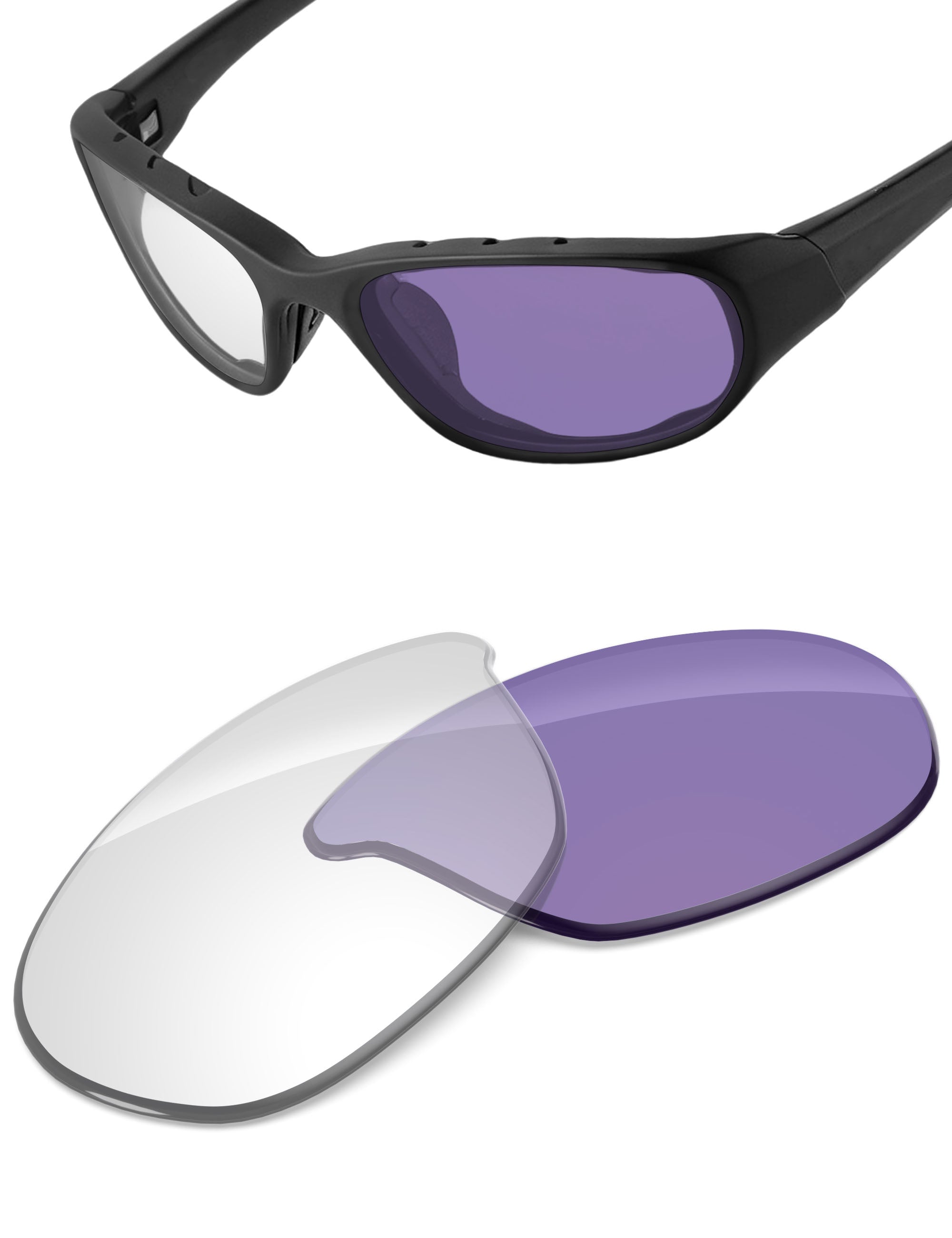 Adapt Purple Photochromic-Non-Polarized