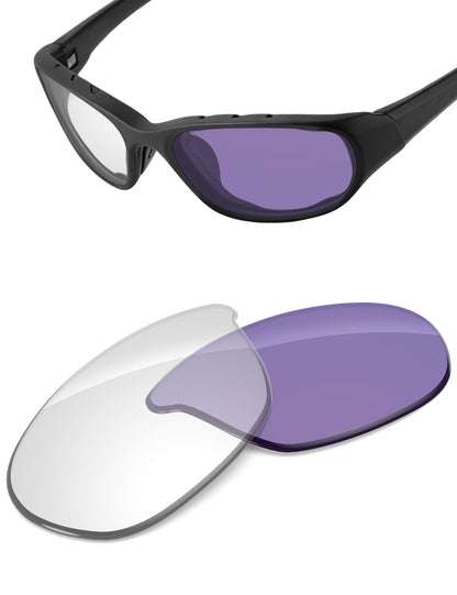 Adapt Purple Photochromic-Non-Polarized
