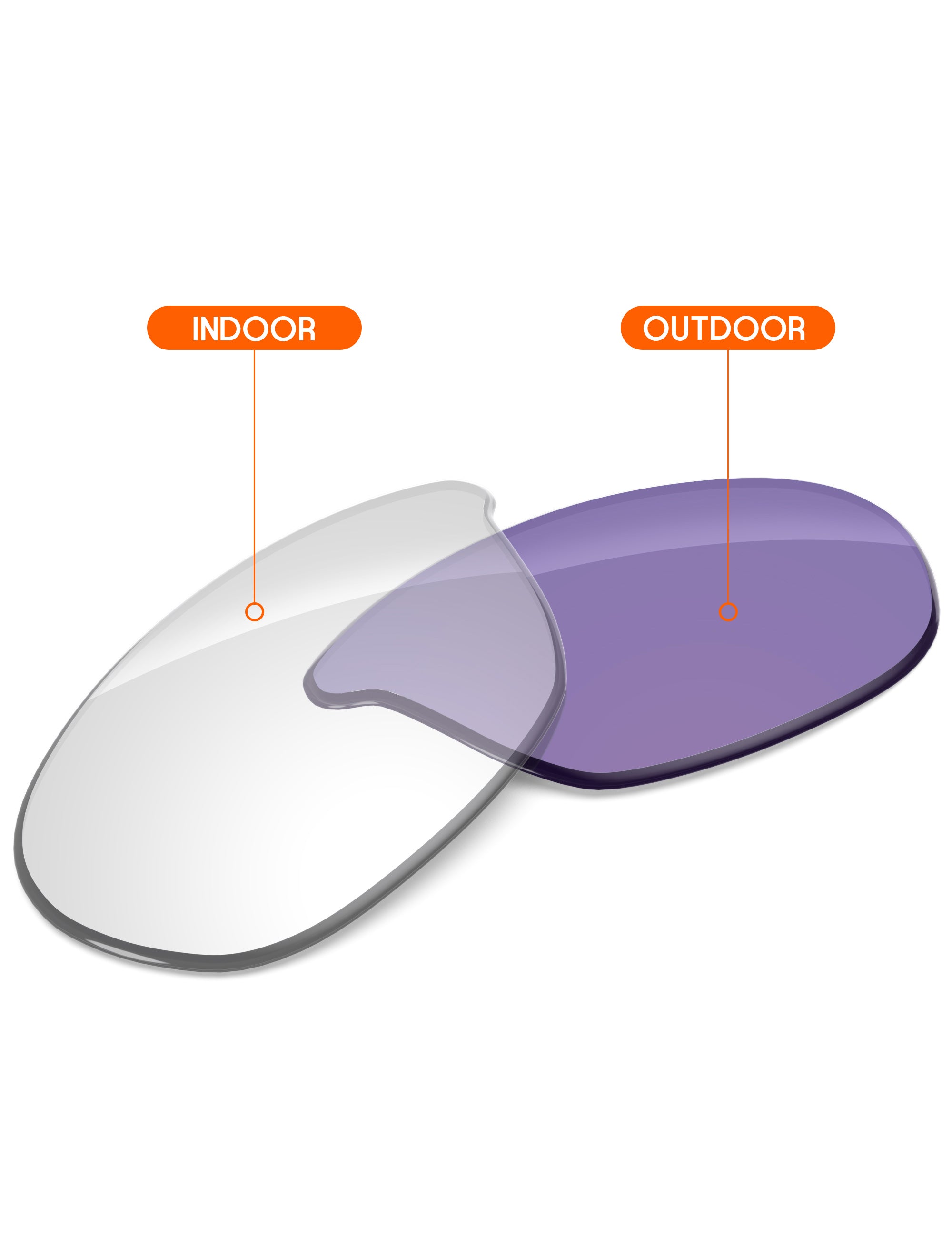 Adapt Purple Photochromic-Non-Polarized